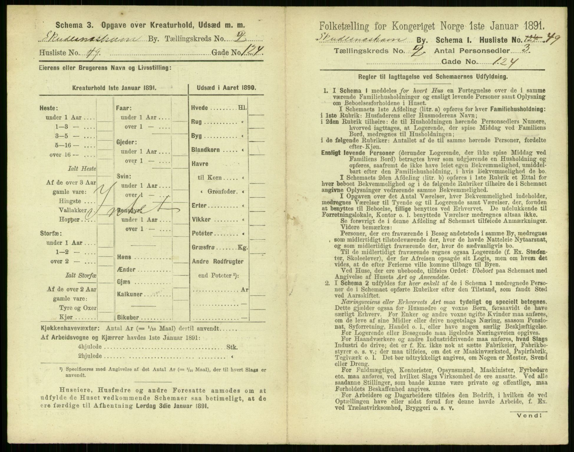 RA, Folketelling 1891 for 1104 Skudeneshavn ladested, 1891, s. 156