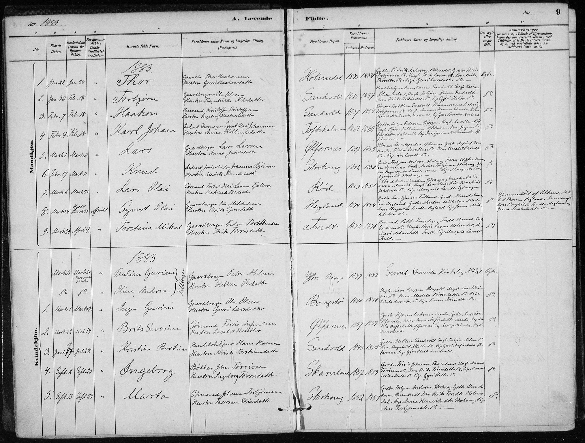 Skånevik sokneprestembete, AV/SAB-A-77801/H/Haa: Ministerialbok nr. C  1, 1879-1917, s. 9