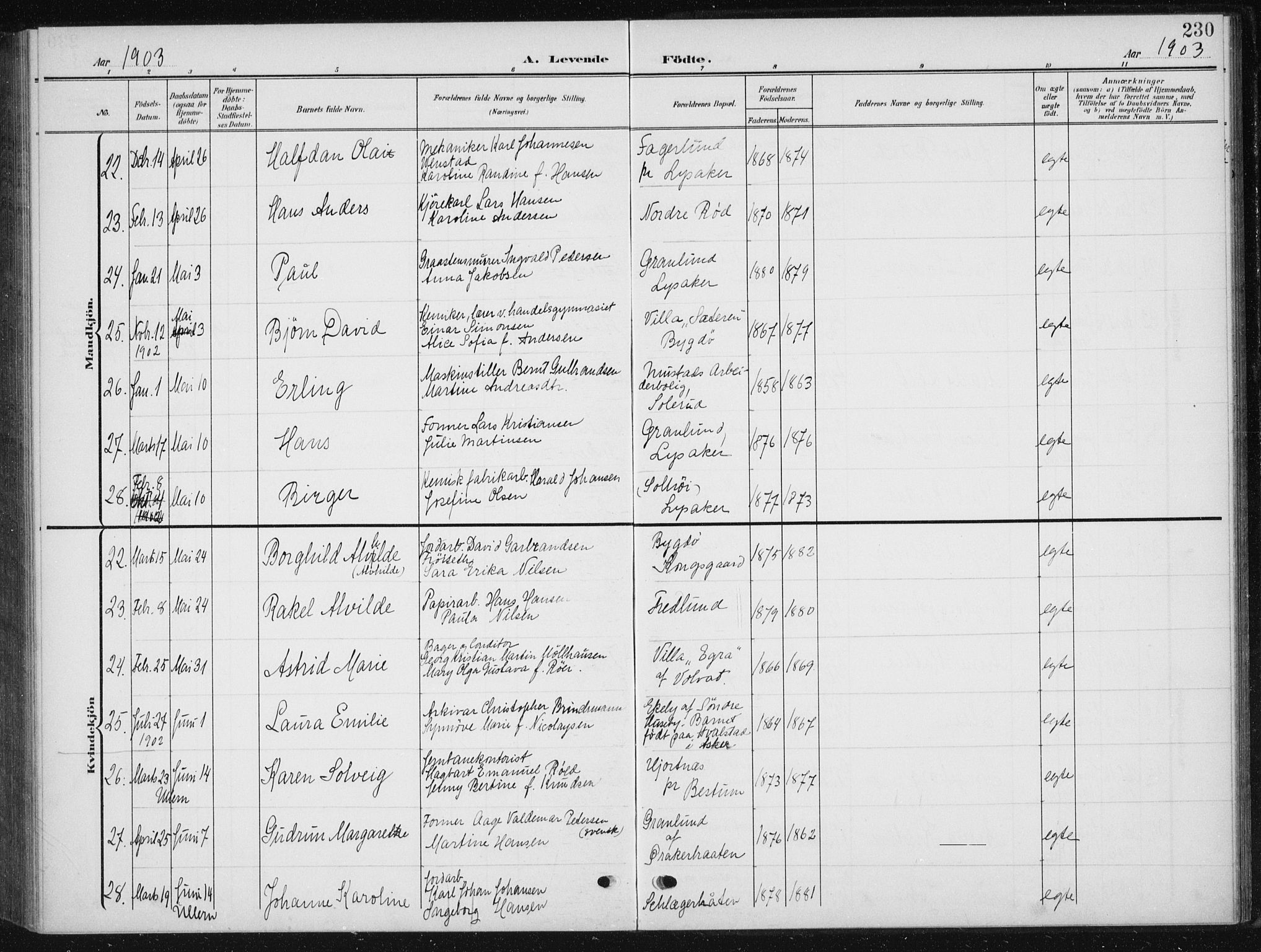 Vestre Aker prestekontor Kirkebøker, AV/SAO-A-10025/F/Fb/L0001: Ministerialbok nr. II 1, 1880-1906, s. 230