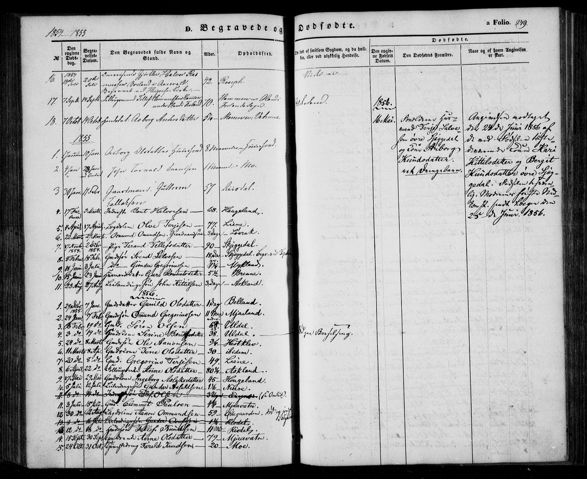 Åmli sokneprestkontor, AV/SAK-1111-0050/F/Fa/Fac/L0008: Ministerialbok nr. A 8, 1852-1869, s. 249