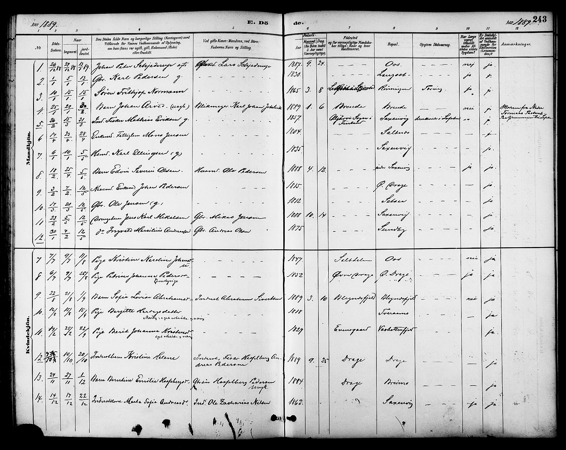 Ministerialprotokoller, klokkerbøker og fødselsregistre - Nordland, AV/SAT-A-1459/847/L0669: Ministerialbok nr. 847A09, 1887-1901, s. 243