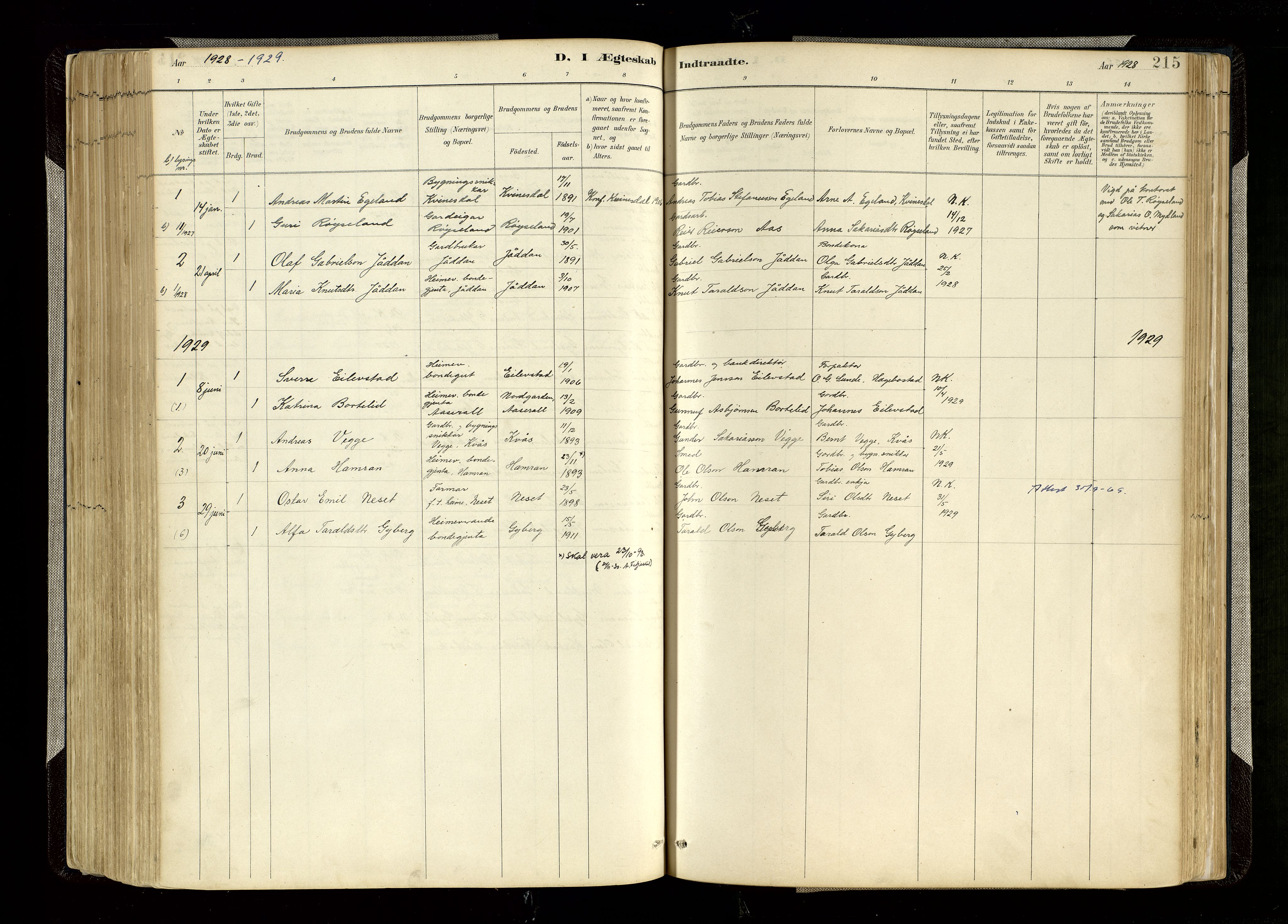 Hægebostad sokneprestkontor, AV/SAK-1111-0024/F/Fa/Faa/L0006: Ministerialbok nr. A 6, 1887-1929, s. 215