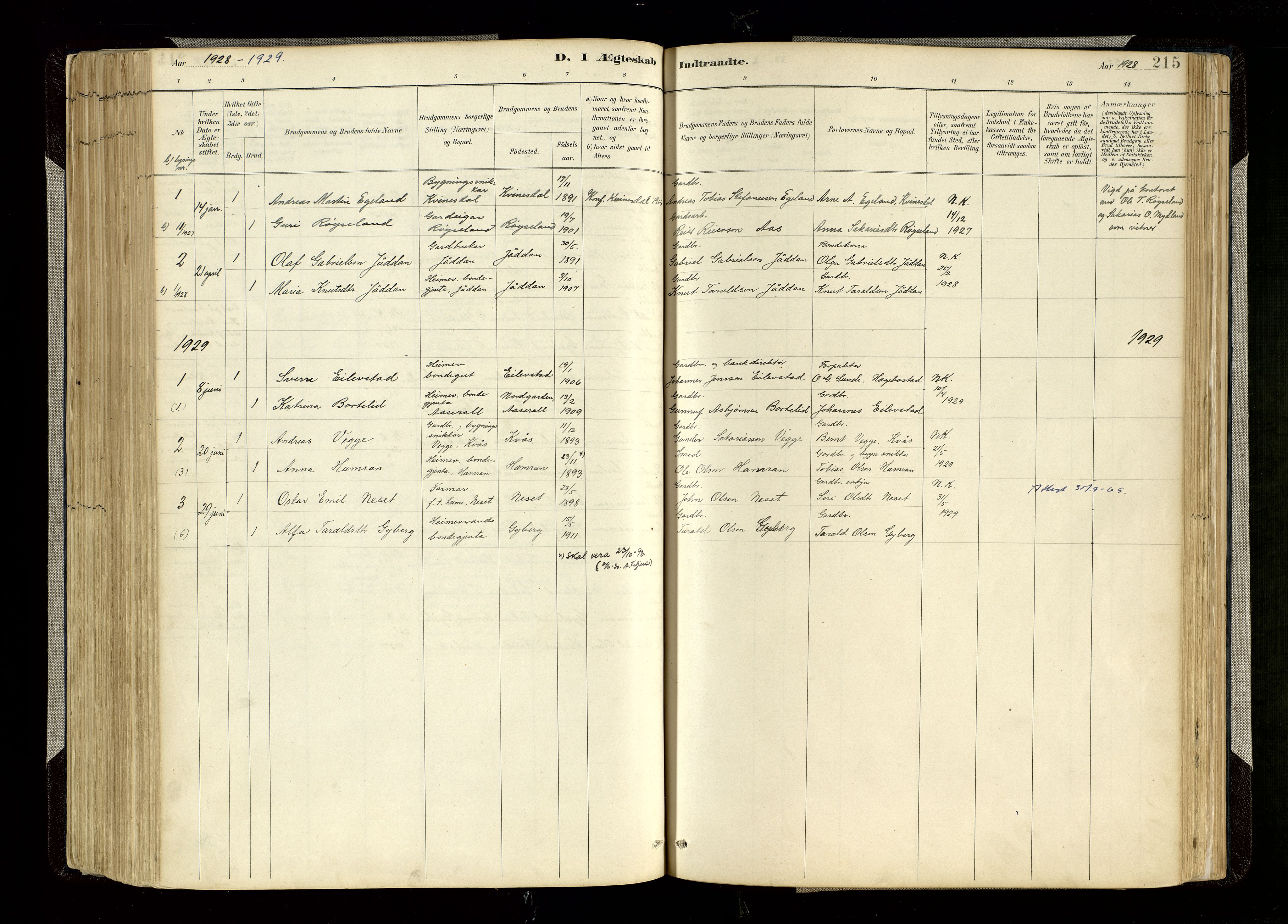 Hægebostad sokneprestkontor, SAK/1111-0024/F/Fa/Faa/L0006: Ministerialbok nr. A 6, 1887-1929, s. 215