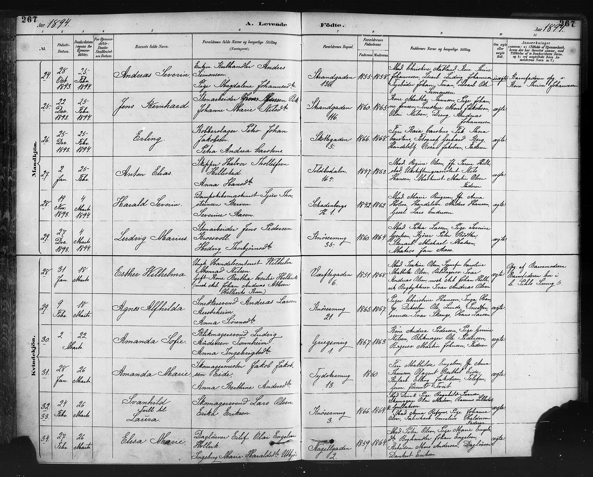 Nykirken Sokneprestembete, AV/SAB-A-77101/H/Haa: Ministerialbok nr. B 5, 1885-1894, s. 267