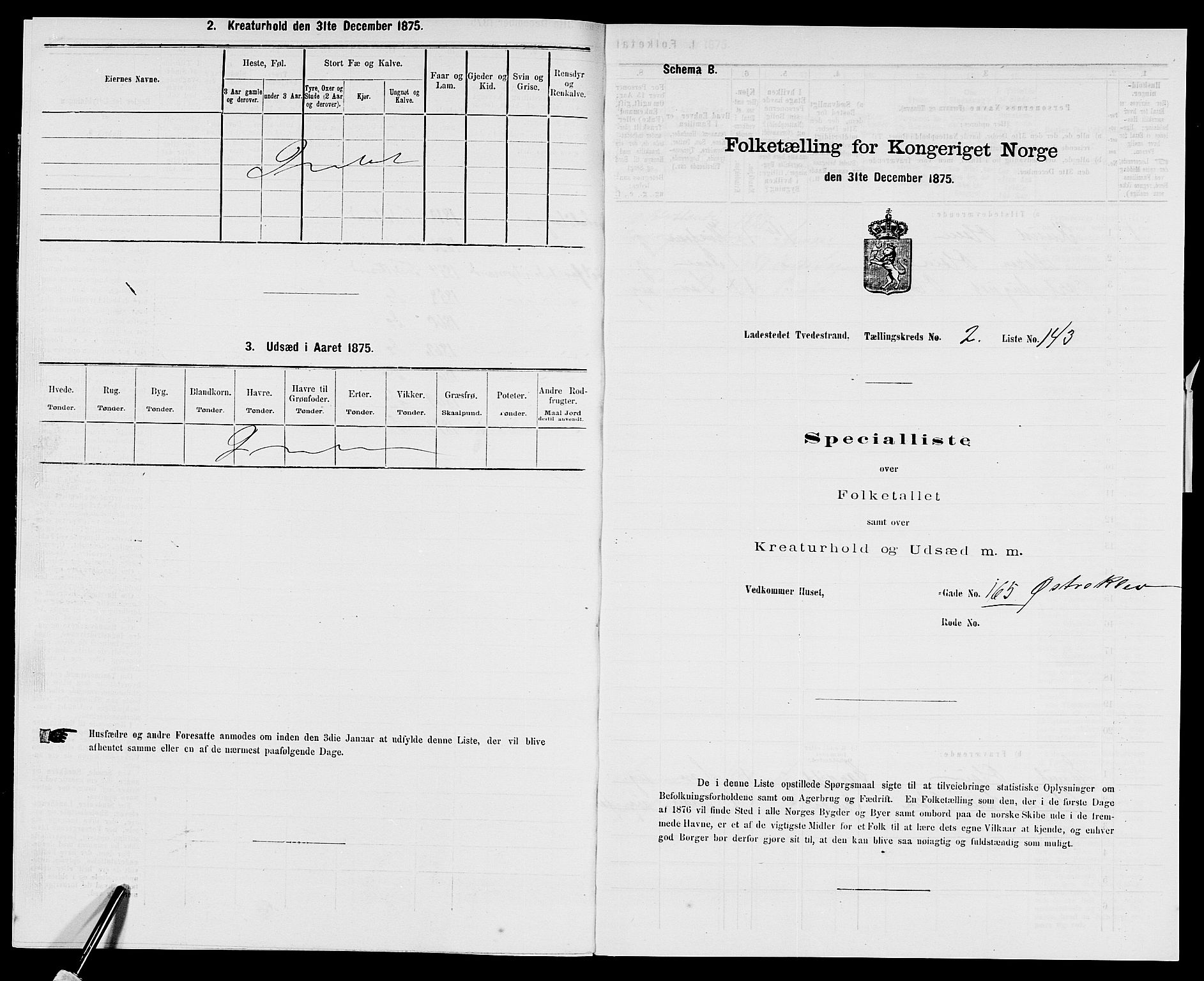 SAK, Folketelling 1875 for 0902B Holt prestegjeld, Tvedestrand ladested, 1875, s. 307