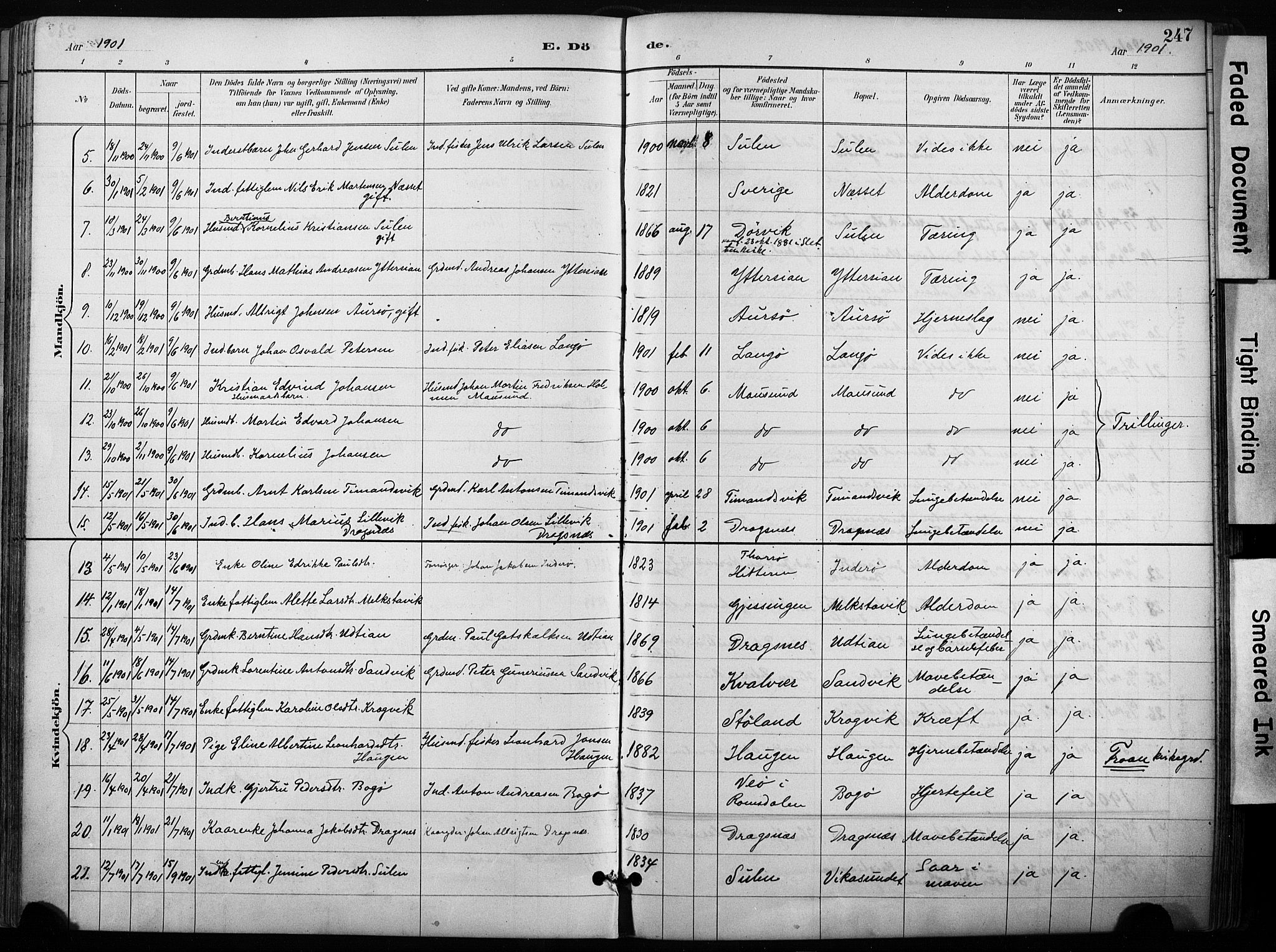 Ministerialprotokoller, klokkerbøker og fødselsregistre - Sør-Trøndelag, AV/SAT-A-1456/640/L0579: Ministerialbok nr. 640A04, 1889-1902, s. 247