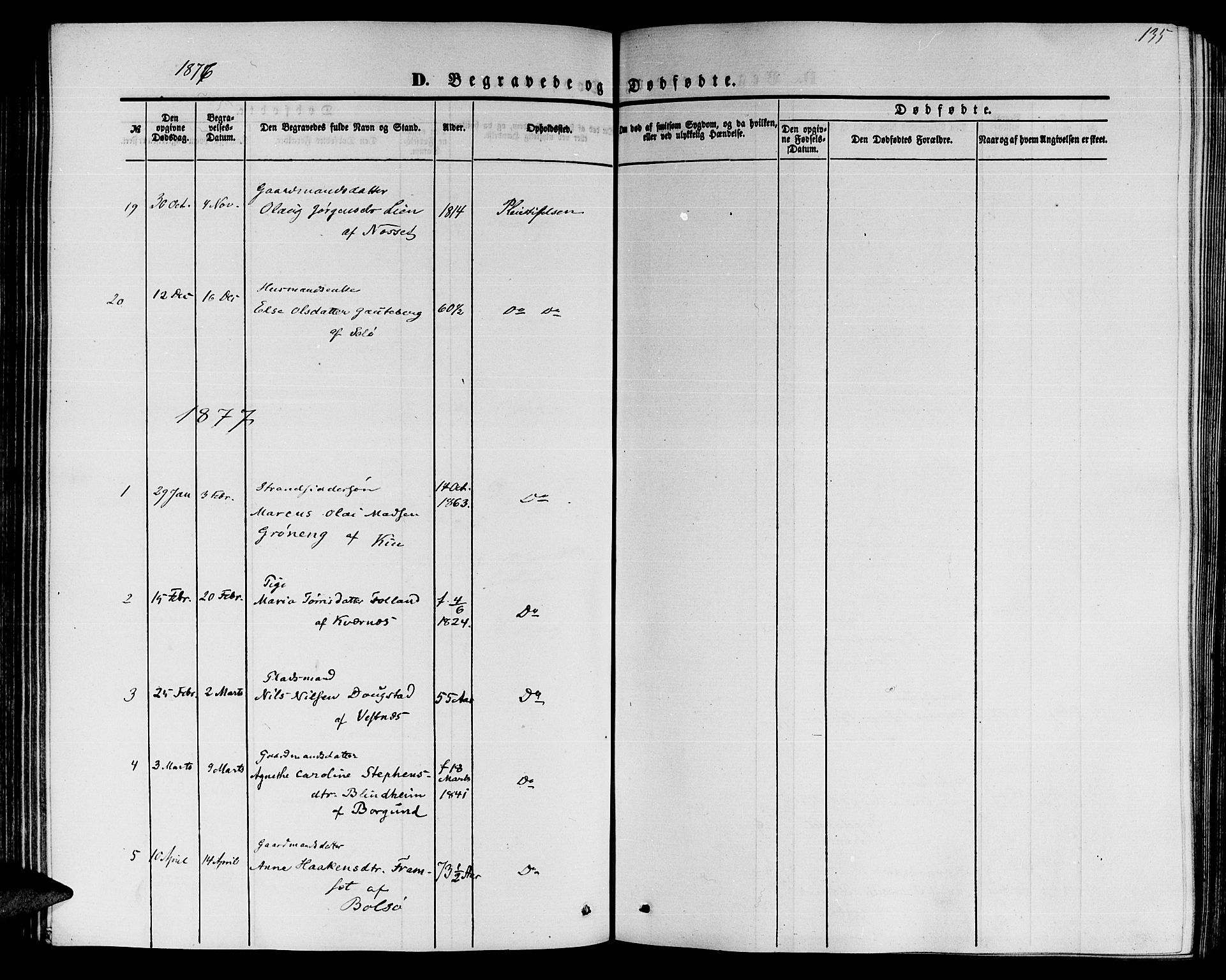 Ministerialprotokoller, klokkerbøker og fødselsregistre - Møre og Romsdal, SAT/A-1454/559/L0713: Ministerialbok nr. 559A01, 1861-1886, s. 135