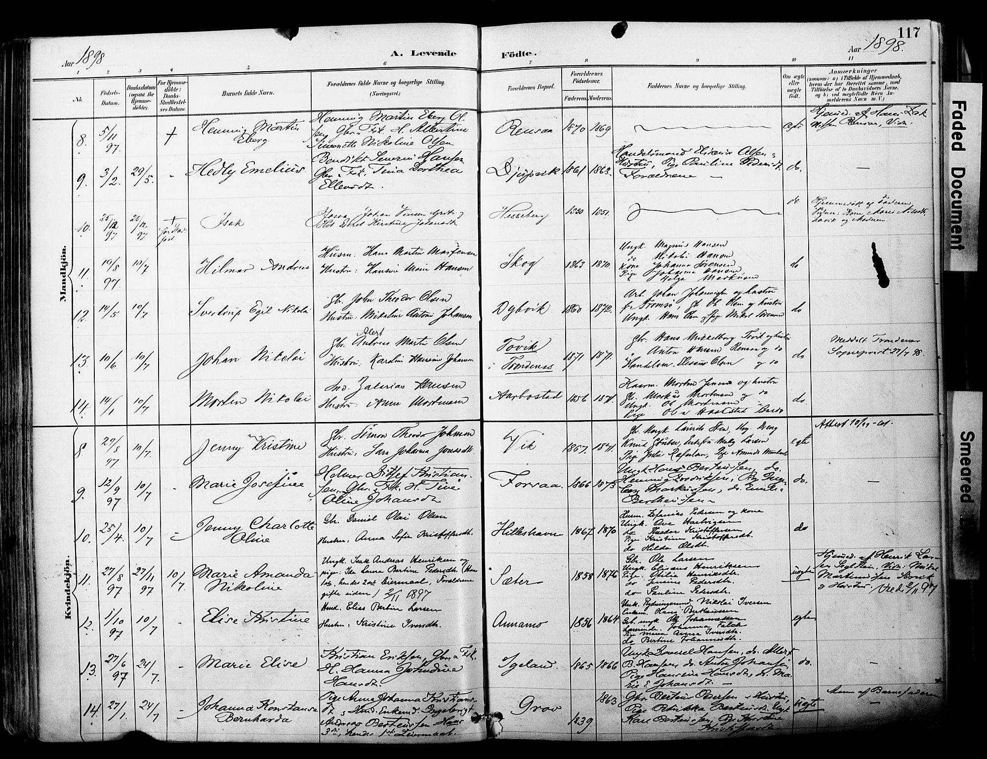 Ibestad sokneprestembete, AV/SATØ-S-0077/H/Ha/Haa/L0012kirke: Ministerialbok nr. 12, 1890-1900, s. 117