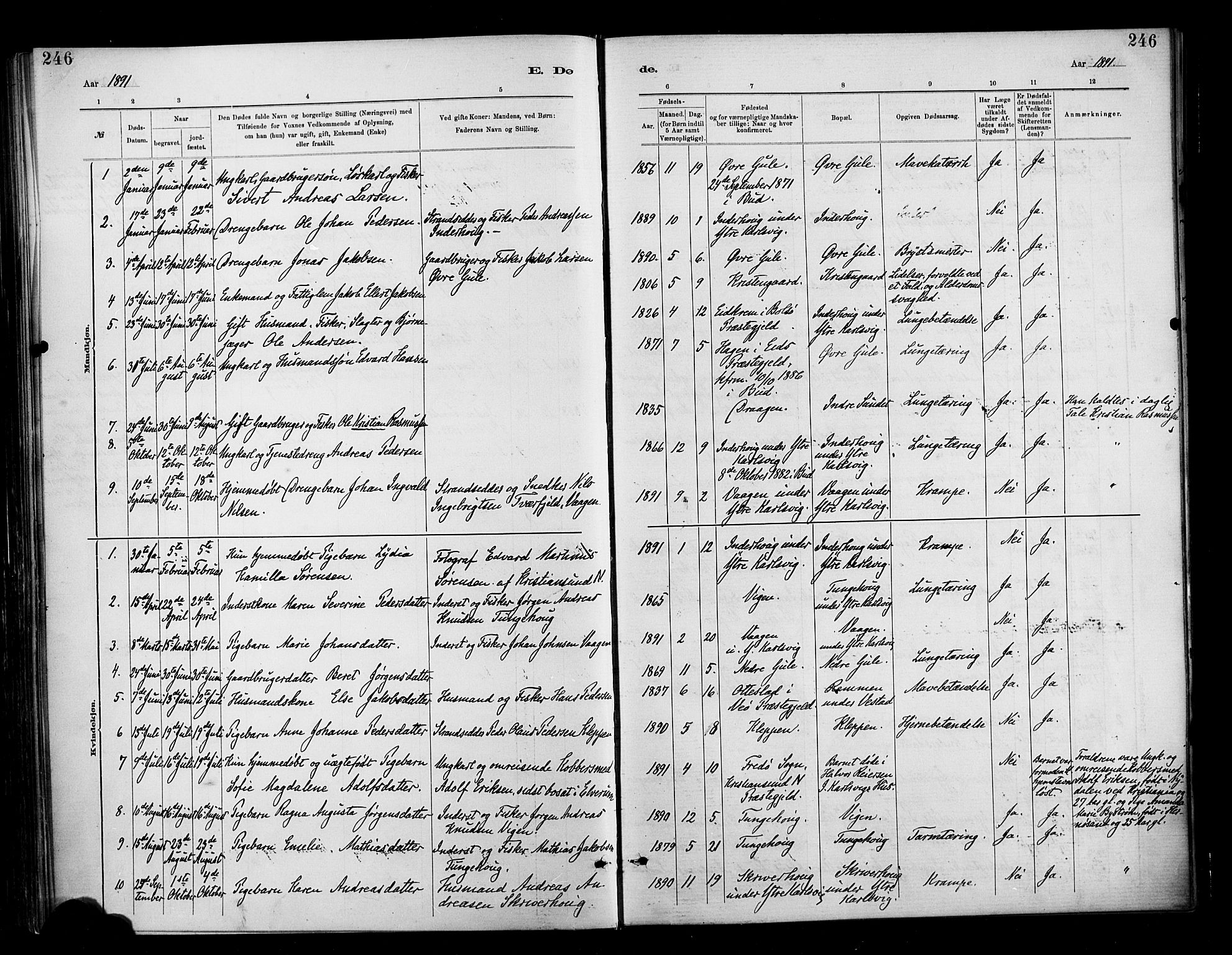 Ministerialprotokoller, klokkerbøker og fødselsregistre - Møre og Romsdal, AV/SAT-A-1454/566/L0769: Ministerialbok nr. 566A08, 1881-1903, s. 246