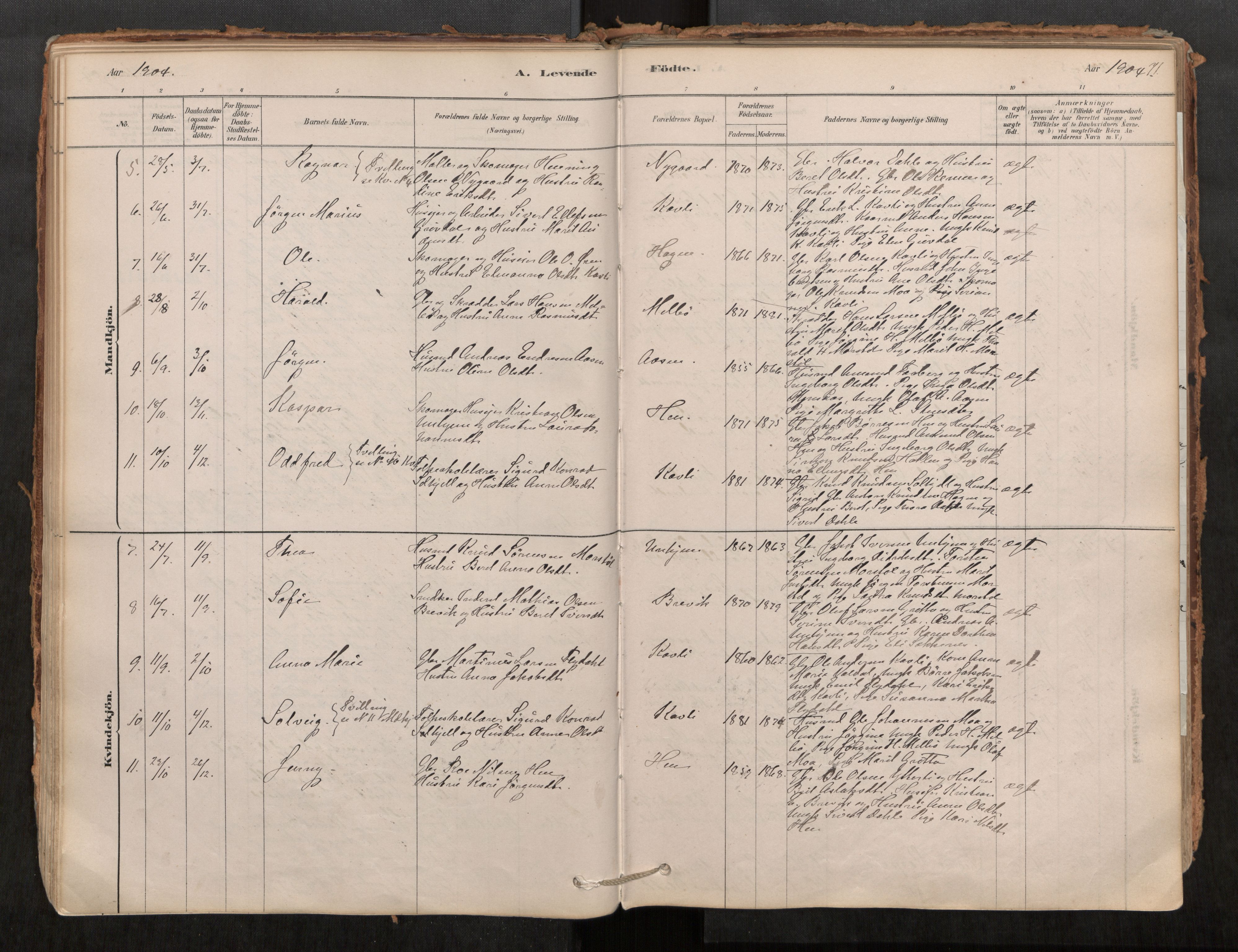 Ministerialprotokoller, klokkerbøker og fødselsregistre - Møre og Romsdal, SAT/A-1454/545/L0594: Ministerialbok nr. 545A03, 1878-1920, s. 71