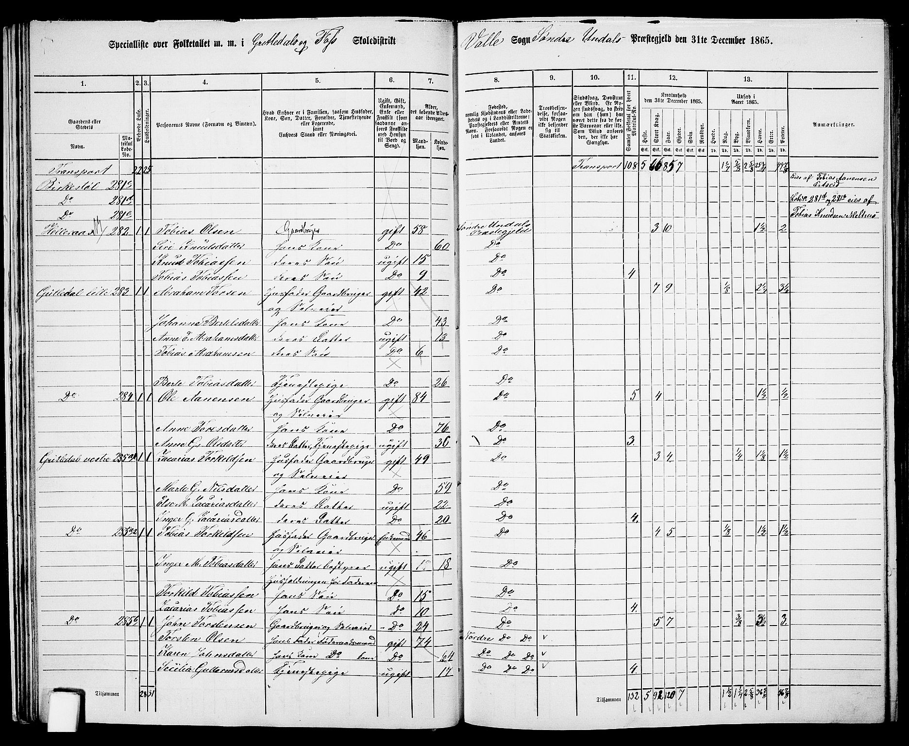 RA, Folketelling 1865 for 1029P Sør-Audnedal prestegjeld, 1865, s. 31