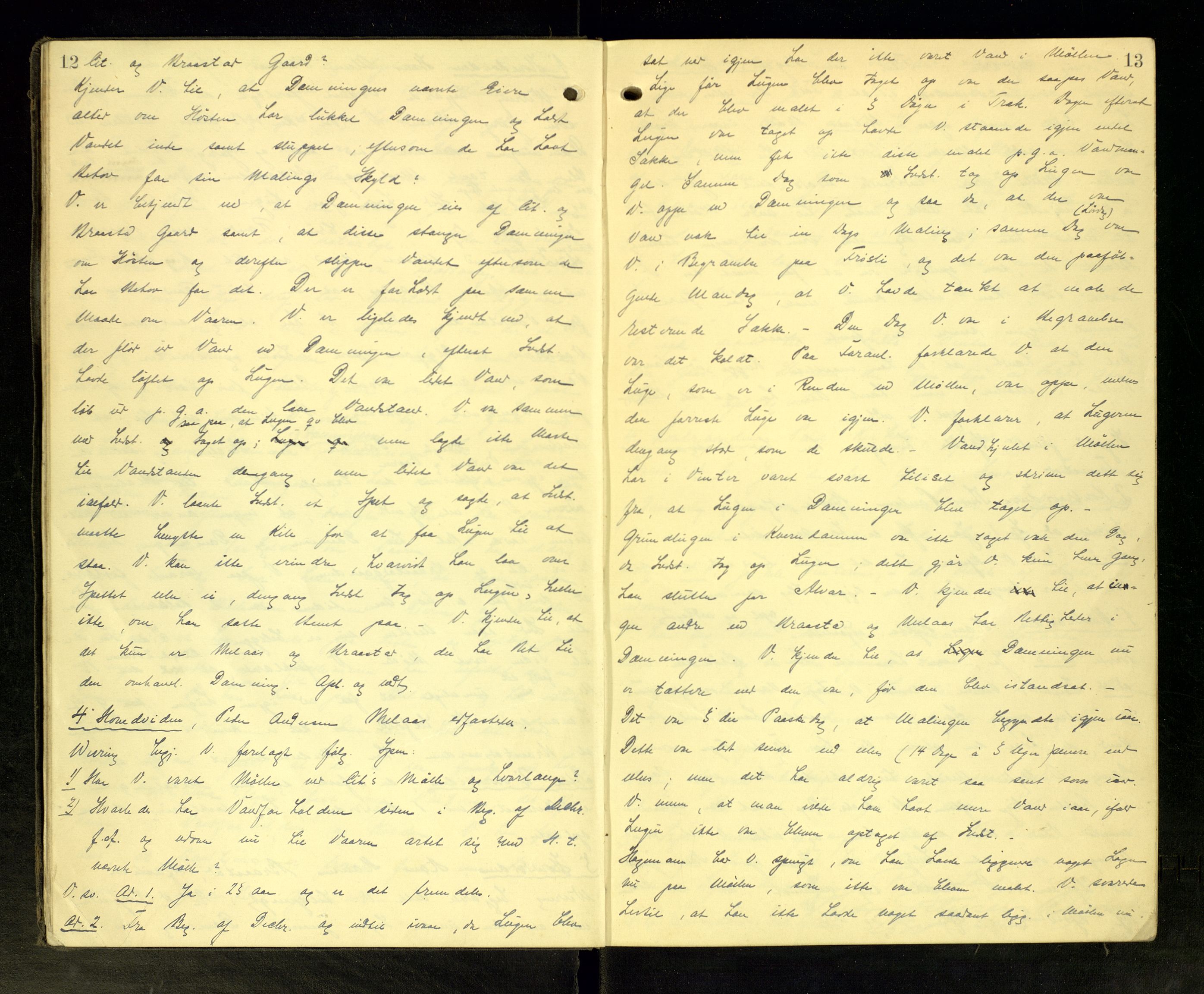 Hadeland og Land tingrett, AV/SAH-TING-010/G/Gc/L0037: Ekstrarettsprotokoll, 1905-1906, s. 12-13