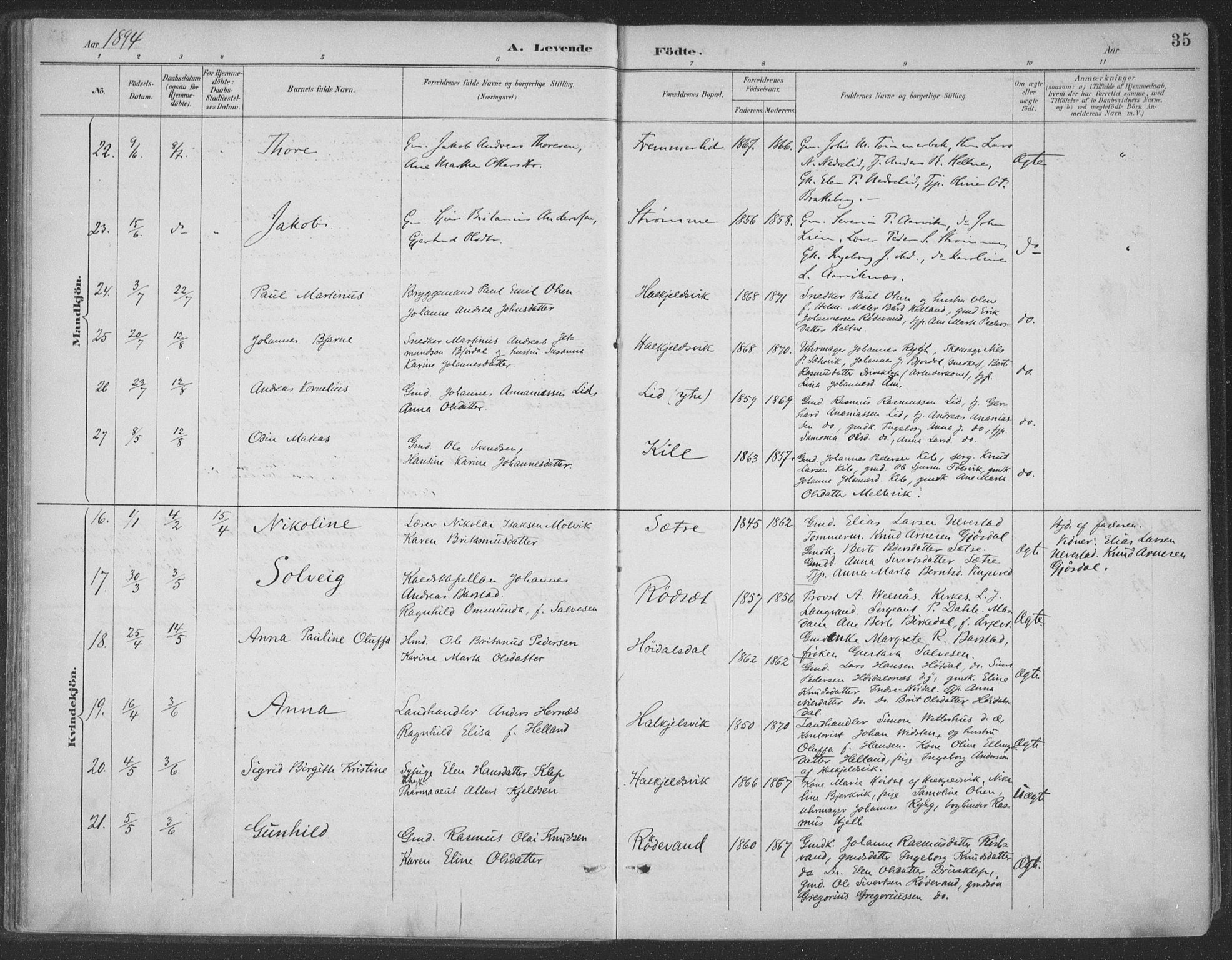 Ministerialprotokoller, klokkerbøker og fødselsregistre - Møre og Romsdal, AV/SAT-A-1454/511/L0142: Ministerialbok nr. 511A09, 1891-1905, s. 35