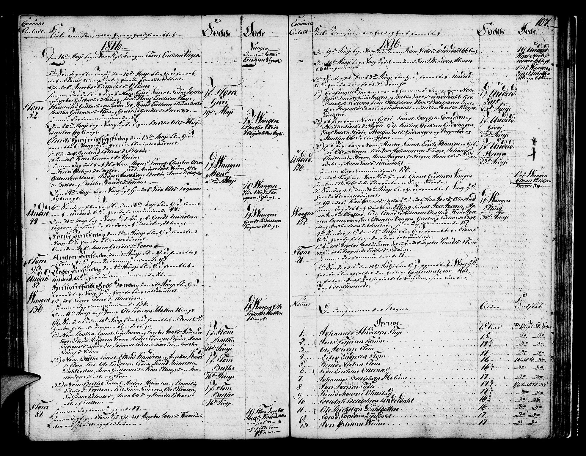 Aurland sokneprestembete, AV/SAB-A-99937/H/Ha/Haa/L0005: Ministerialbok nr. A 5, 1801-1821, s. 107