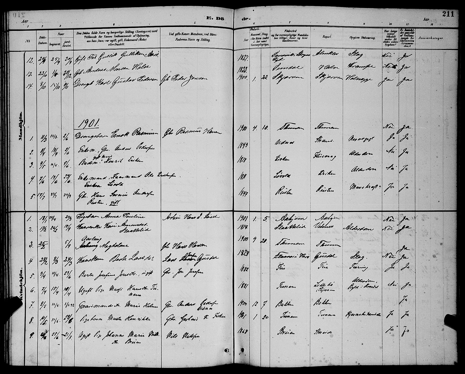 Ministerialprotokoller, klokkerbøker og fødselsregistre - Møre og Romsdal, AV/SAT-A-1454/501/L0017: Klokkerbok nr. 501C03, 1885-1901, s. 211