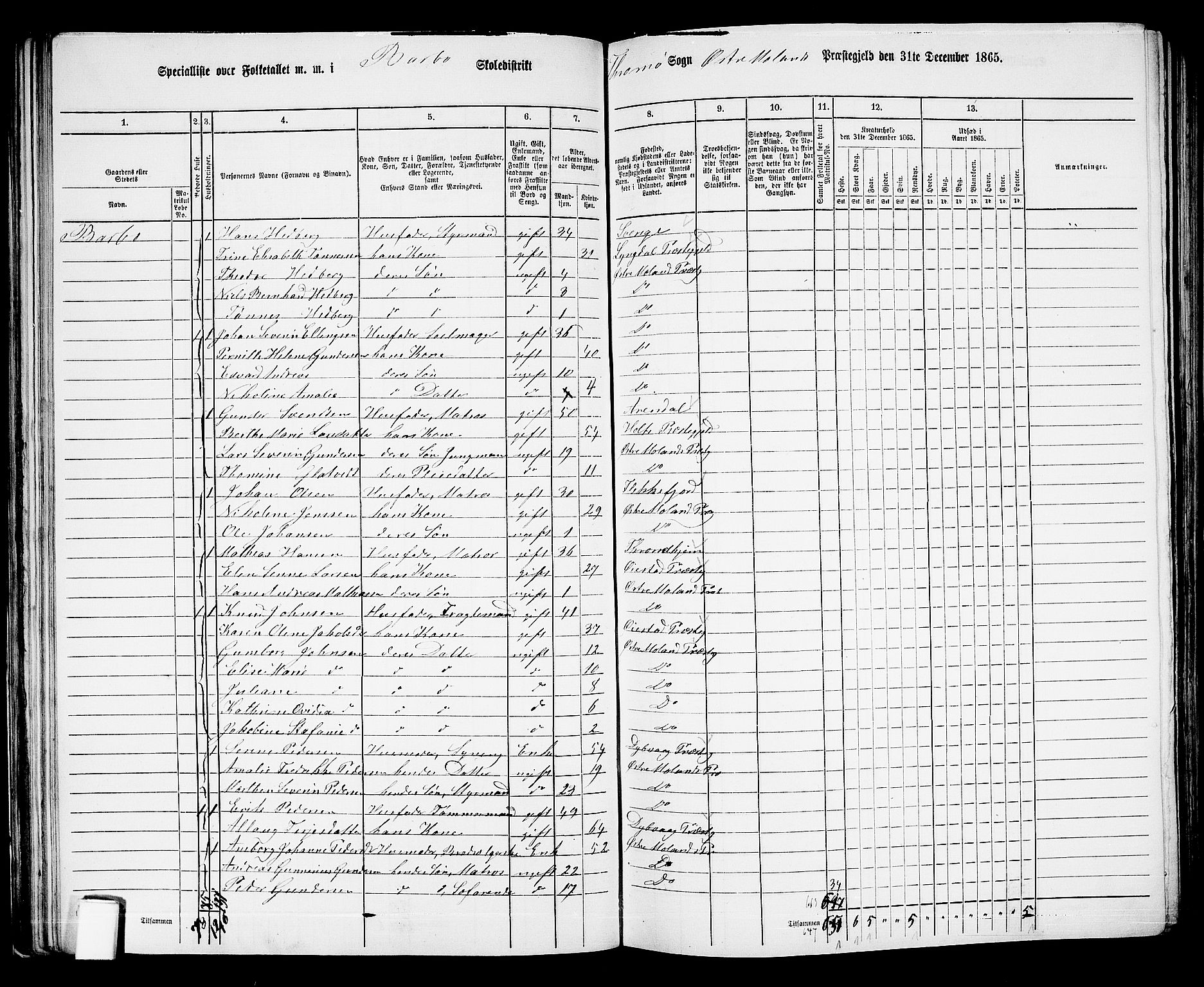 RA, Folketelling 1865 for 0918P Austre Moland prestegjeld, 1865, s. 80