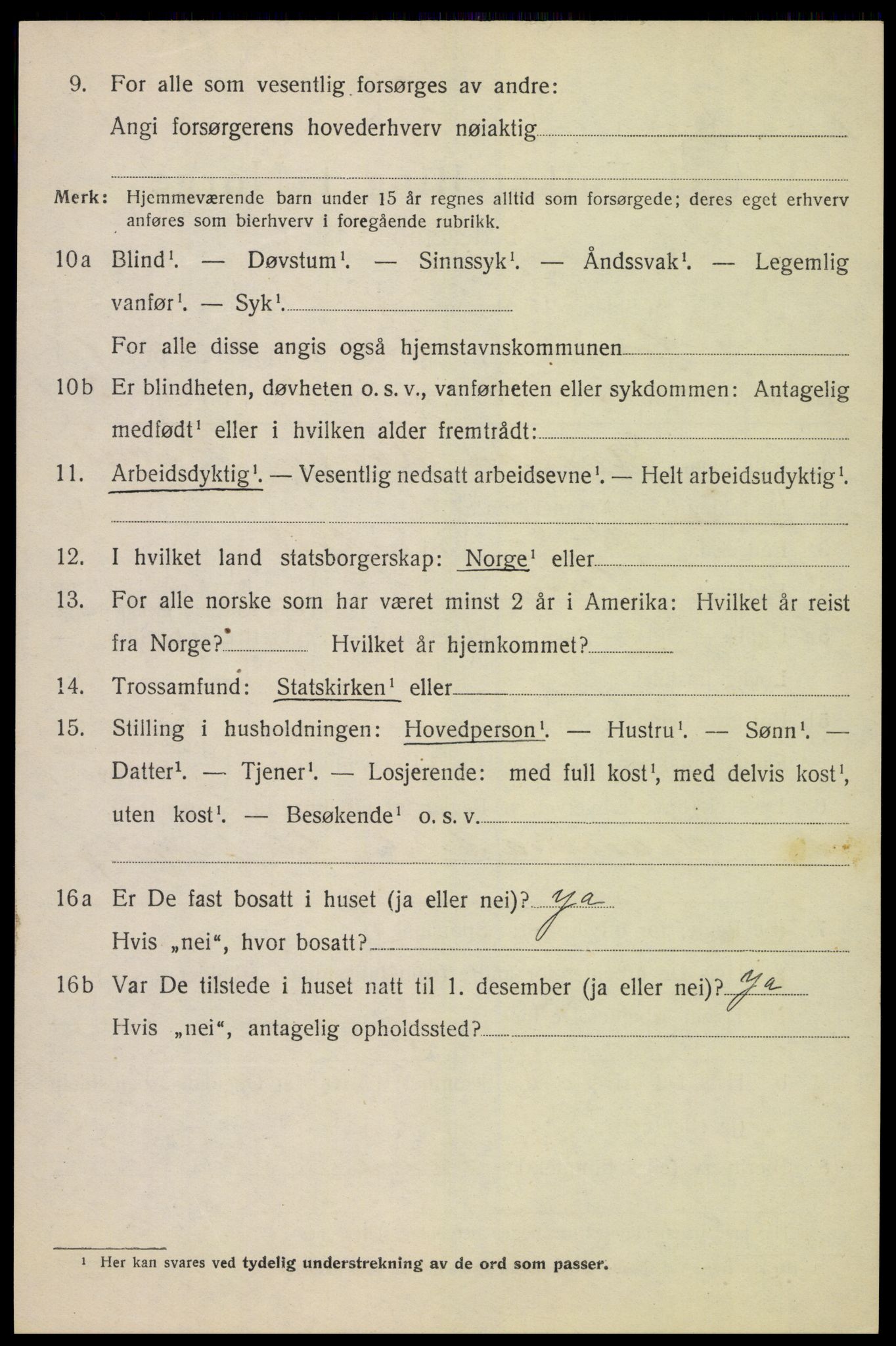 SAH, Folketelling 1920 for 0514 Lom herred, 1920, s. 1041