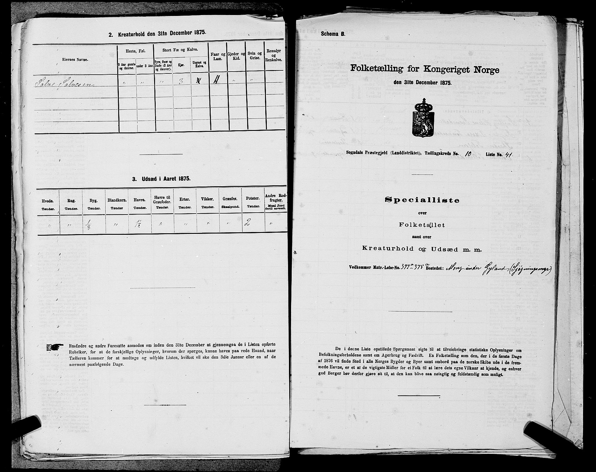 SAST, Folketelling 1875 for 1111L Sokndal prestegjeld, Sokndal landsokn, 1875, s. 1017