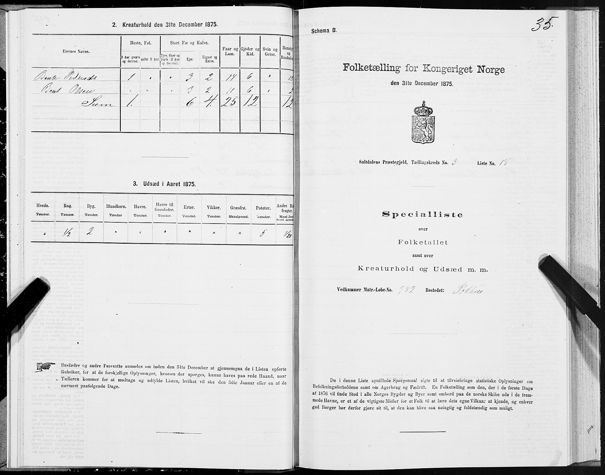 SAT, Folketelling 1875 for 1840P Saltdal prestegjeld, 1875, s. 2035