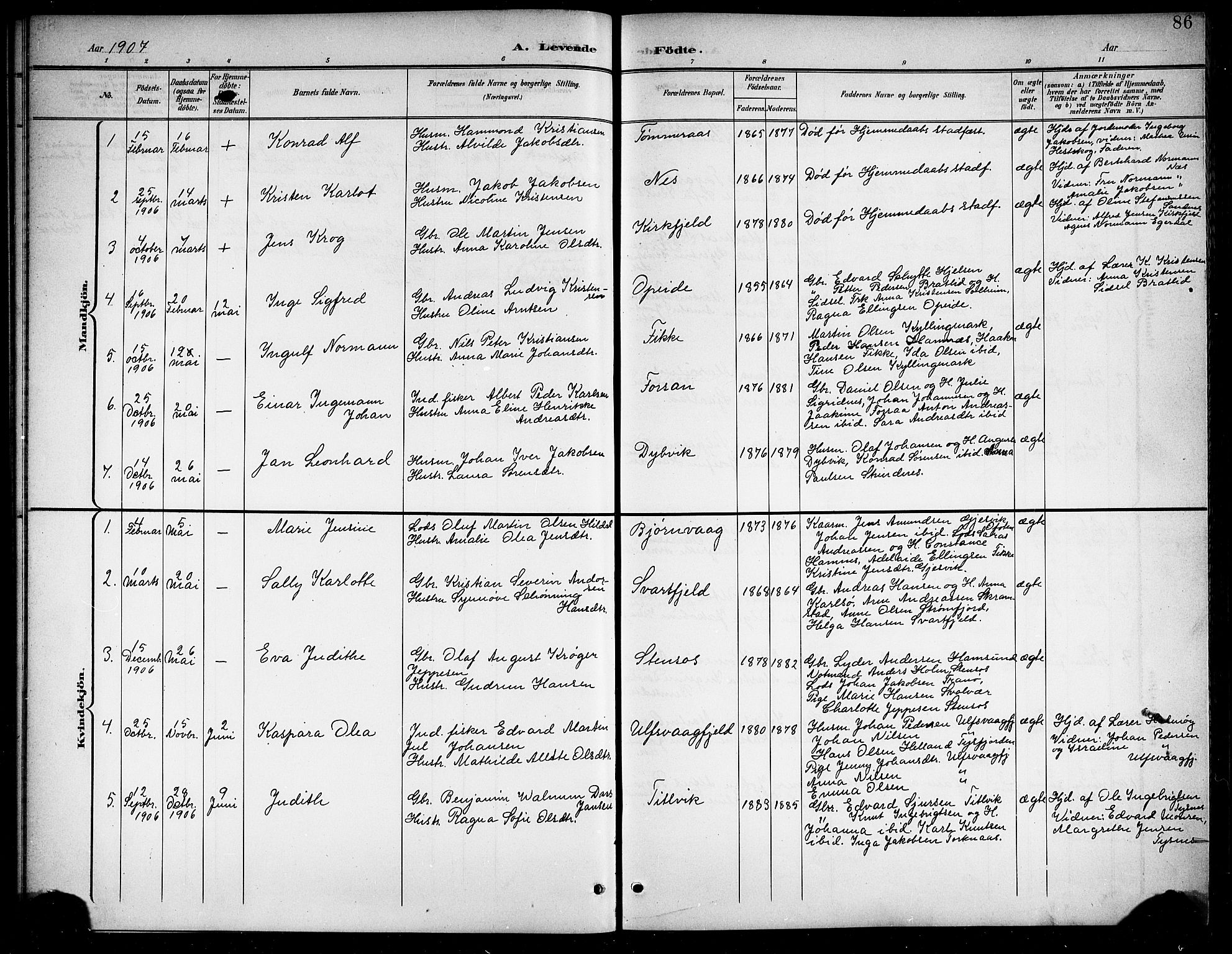 Ministerialprotokoller, klokkerbøker og fødselsregistre - Nordland, AV/SAT-A-1459/859/L0860: Klokkerbok nr. 859C06, 1899-1909, s. 86