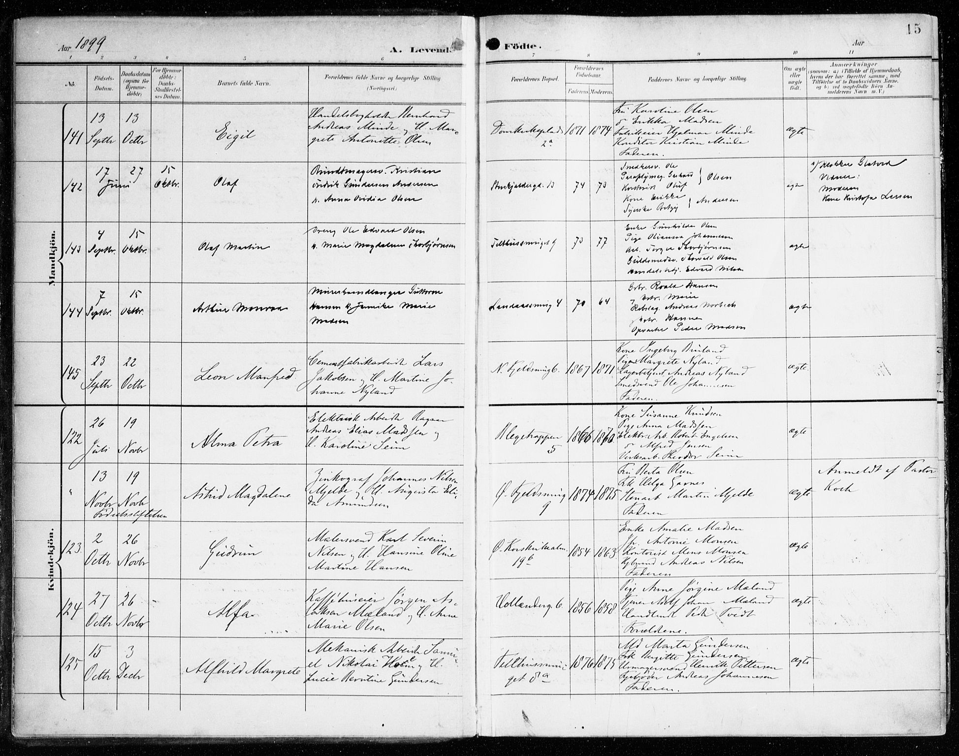 Korskirken sokneprestembete, AV/SAB-A-76101/H/Haa/L0023: Ministerialbok nr. B 9, 1899-1908, s. 15