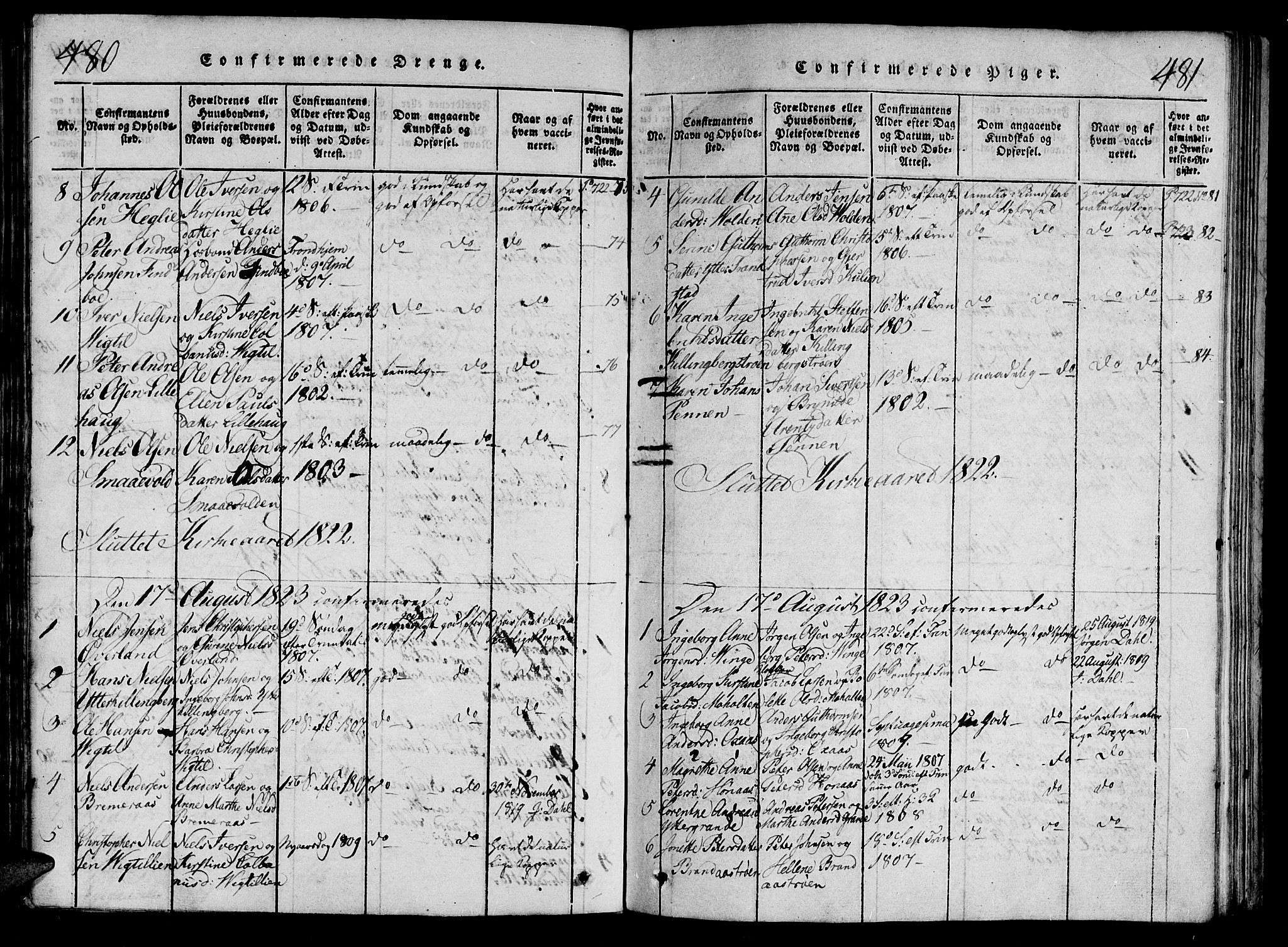 Ministerialprotokoller, klokkerbøker og fødselsregistre - Nord-Trøndelag, AV/SAT-A-1458/701/L0005: Ministerialbok nr. 701A05 /1, 1816-1825, s. 480-481
