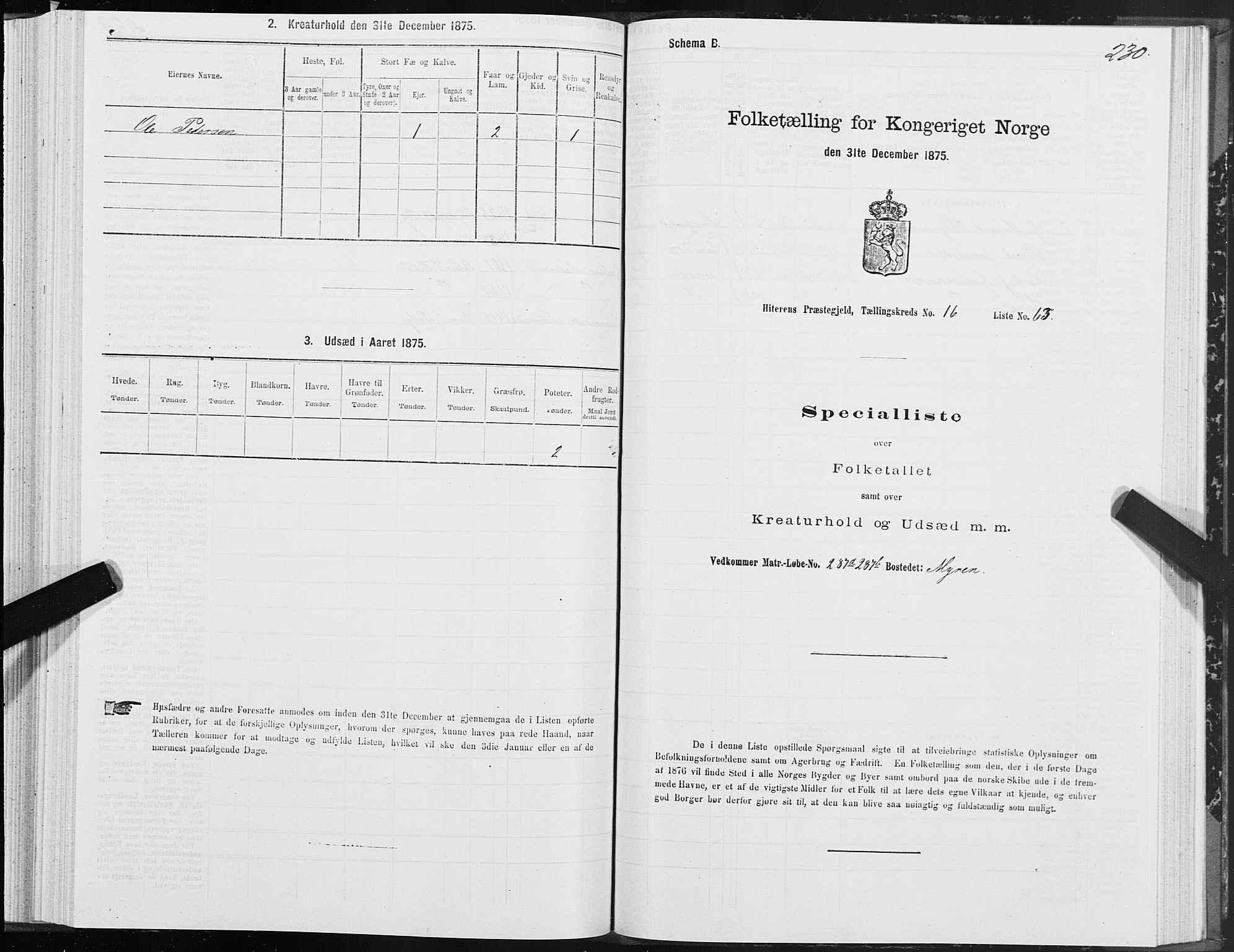 SAT, Folketelling 1875 for 1617P Hitra prestegjeld, 1875, s. 8230