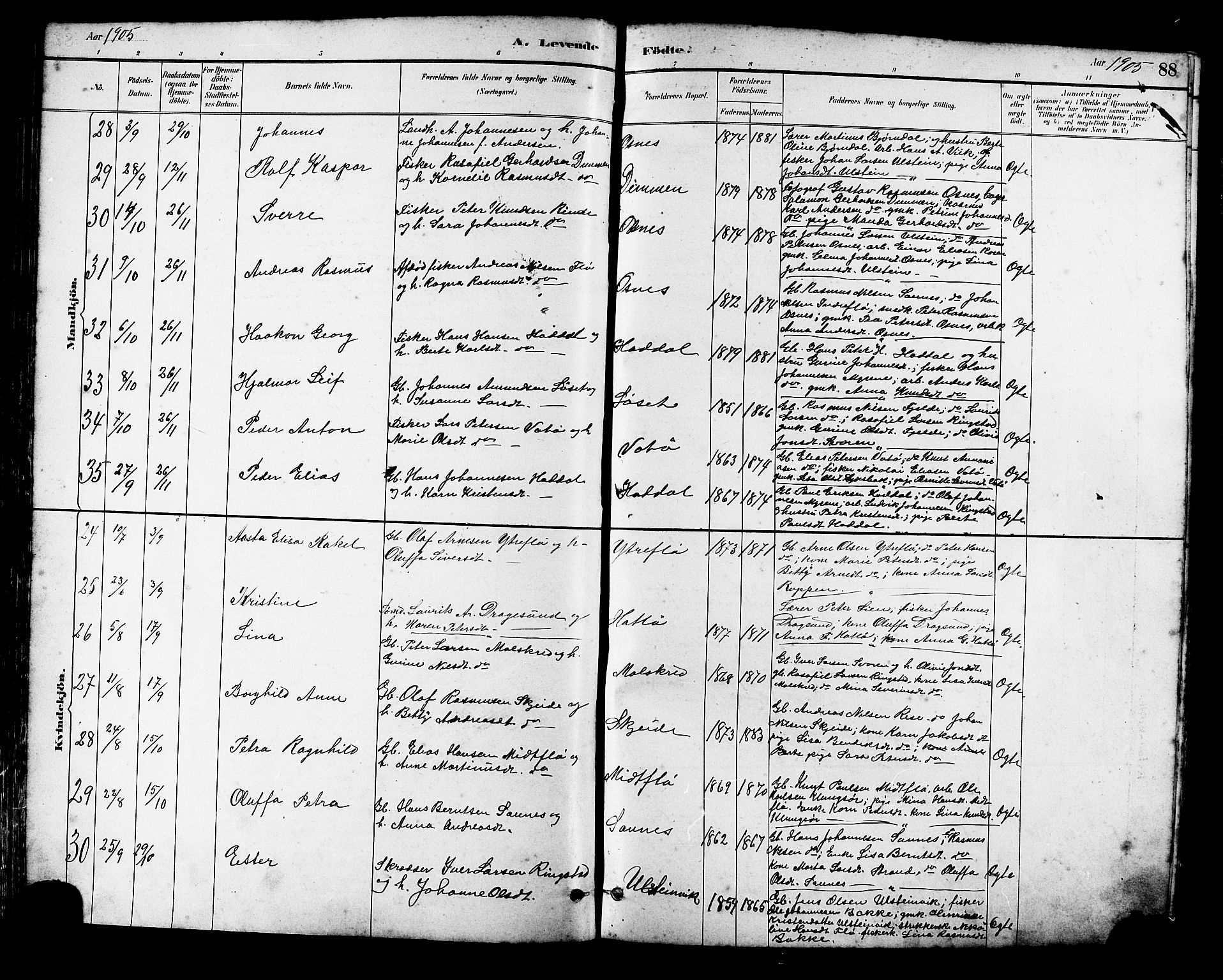 Ministerialprotokoller, klokkerbøker og fødselsregistre - Møre og Romsdal, AV/SAT-A-1454/509/L0112: Klokkerbok nr. 509C02, 1883-1922, s. 88