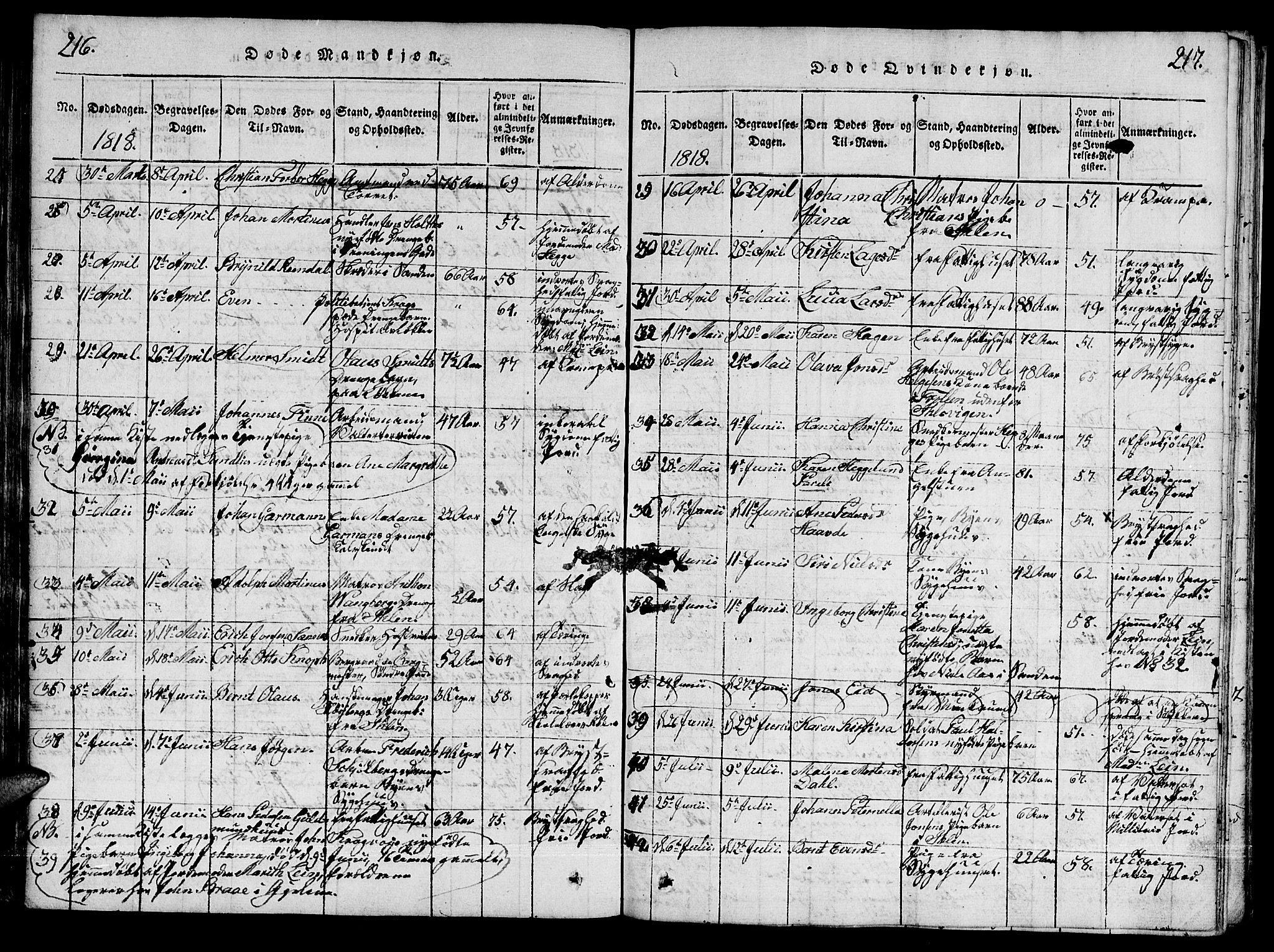 Ministerialprotokoller, klokkerbøker og fødselsregistre - Sør-Trøndelag, SAT/A-1456/601/L0043: Ministerialbok nr. 601A11, 1815-1821, s. 216-217