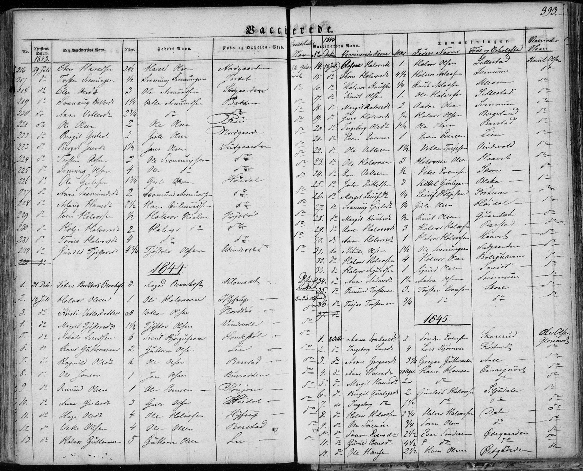 Seljord kirkebøker, AV/SAKO-A-20/F/Fa/L0011: Ministerialbok nr. I 11, 1831-1849, s. 393