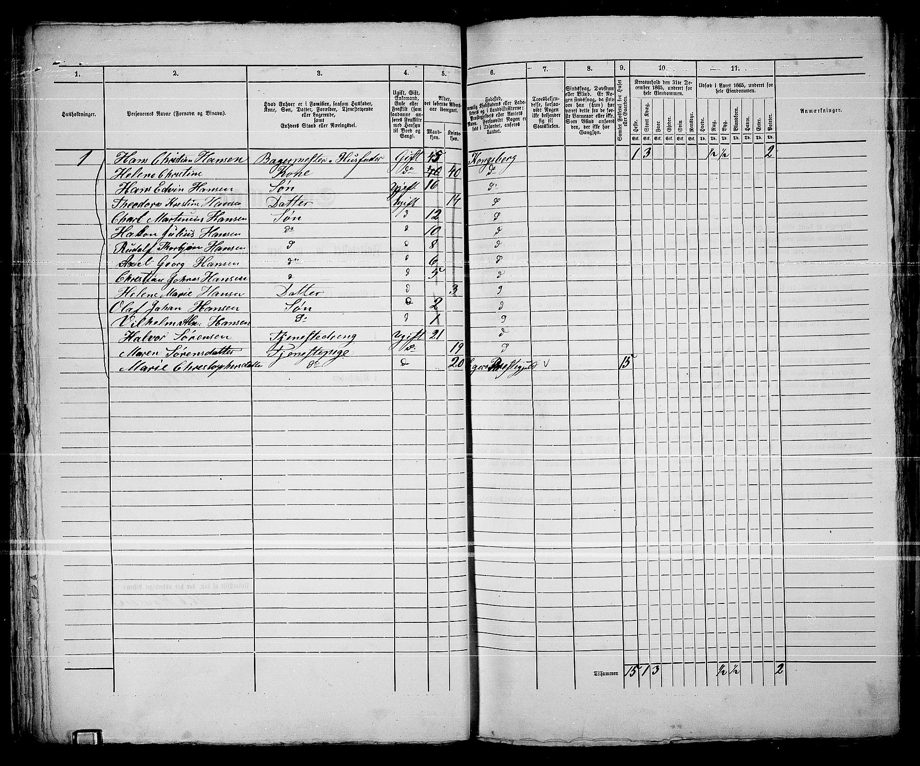 RA, Folketelling 1865 for 0604B Kongsberg prestegjeld, Kongsberg kjøpstad, 1865, s. 54