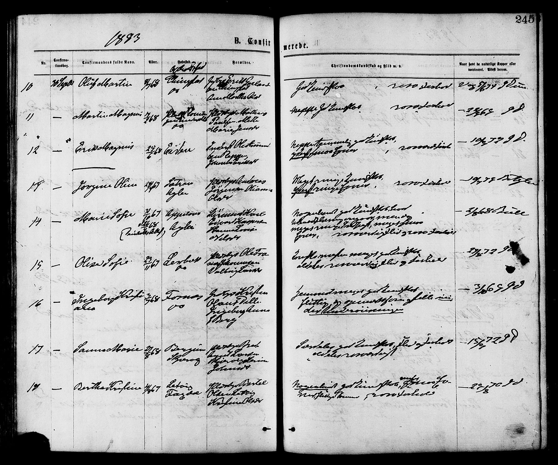 Ministerialprotokoller, klokkerbøker og fødselsregistre - Nord-Trøndelag, SAT/A-1458/773/L0616: Ministerialbok nr. 773A07, 1870-1887, s. 245