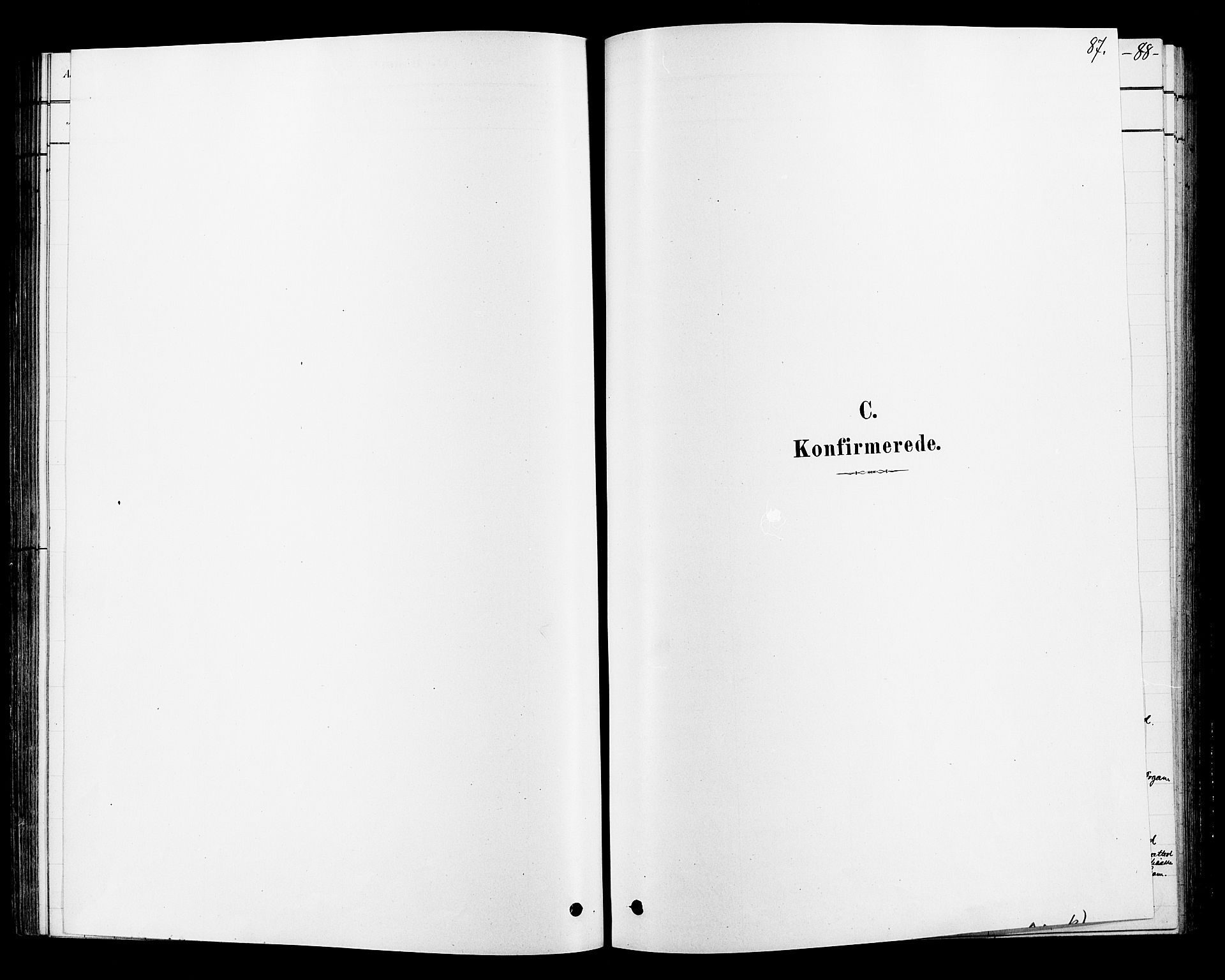 Ringsaker prestekontor, SAH/PREST-014/L/La/L0010: Klokkerbok nr. 10, 1879-1890, s. 87