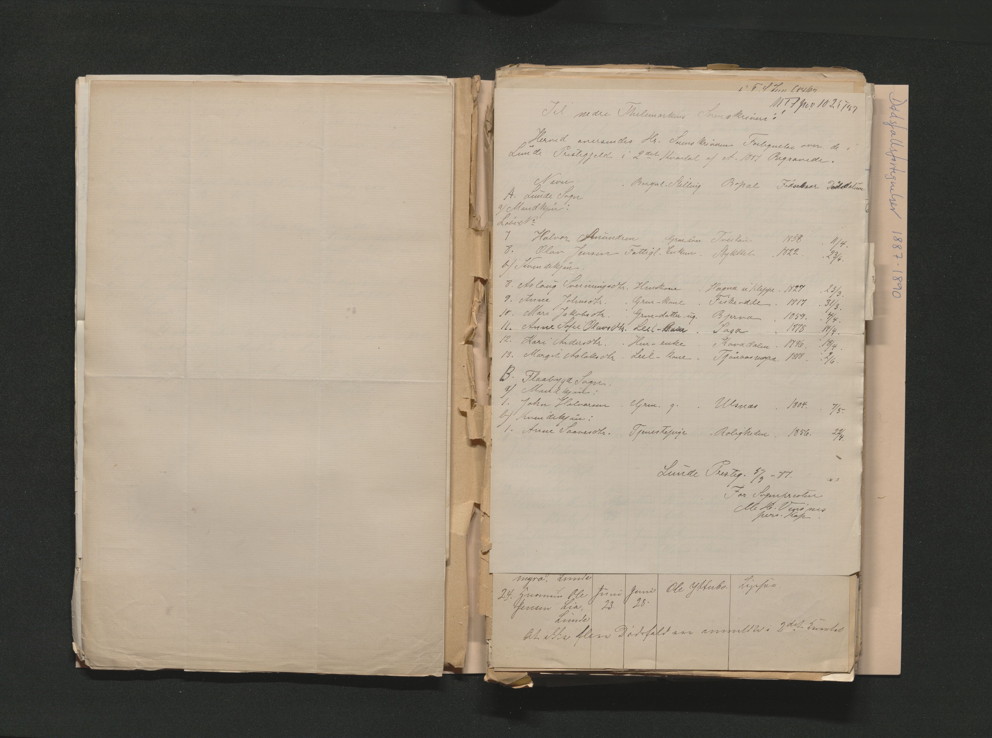 Nedre Telemark sorenskriveri, AV/SAKO-A-135/H/Ha/Hab/L0002: Dødsfallsfortegnelser
, 1887-1896, s. 37