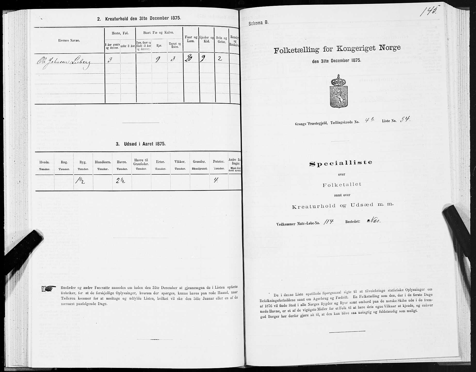 SAT, Folketelling 1875 for 1742P Grong prestegjeld, 1875, s. 3145