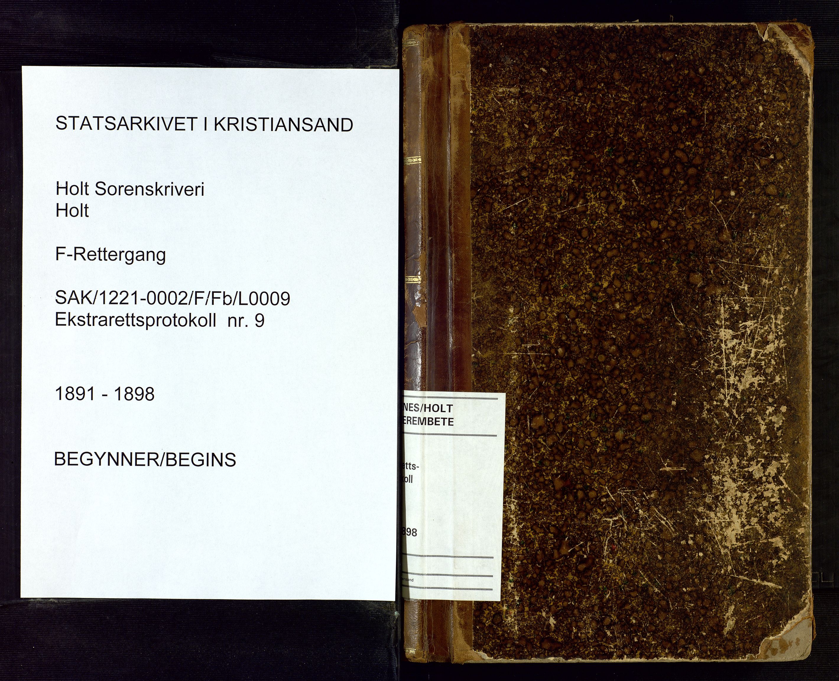 Holt sorenskriveri, AV/SAK-1221-0002/F/Fb/L0009: Ekstrarettsprotokoll nr 9, 1891-1898