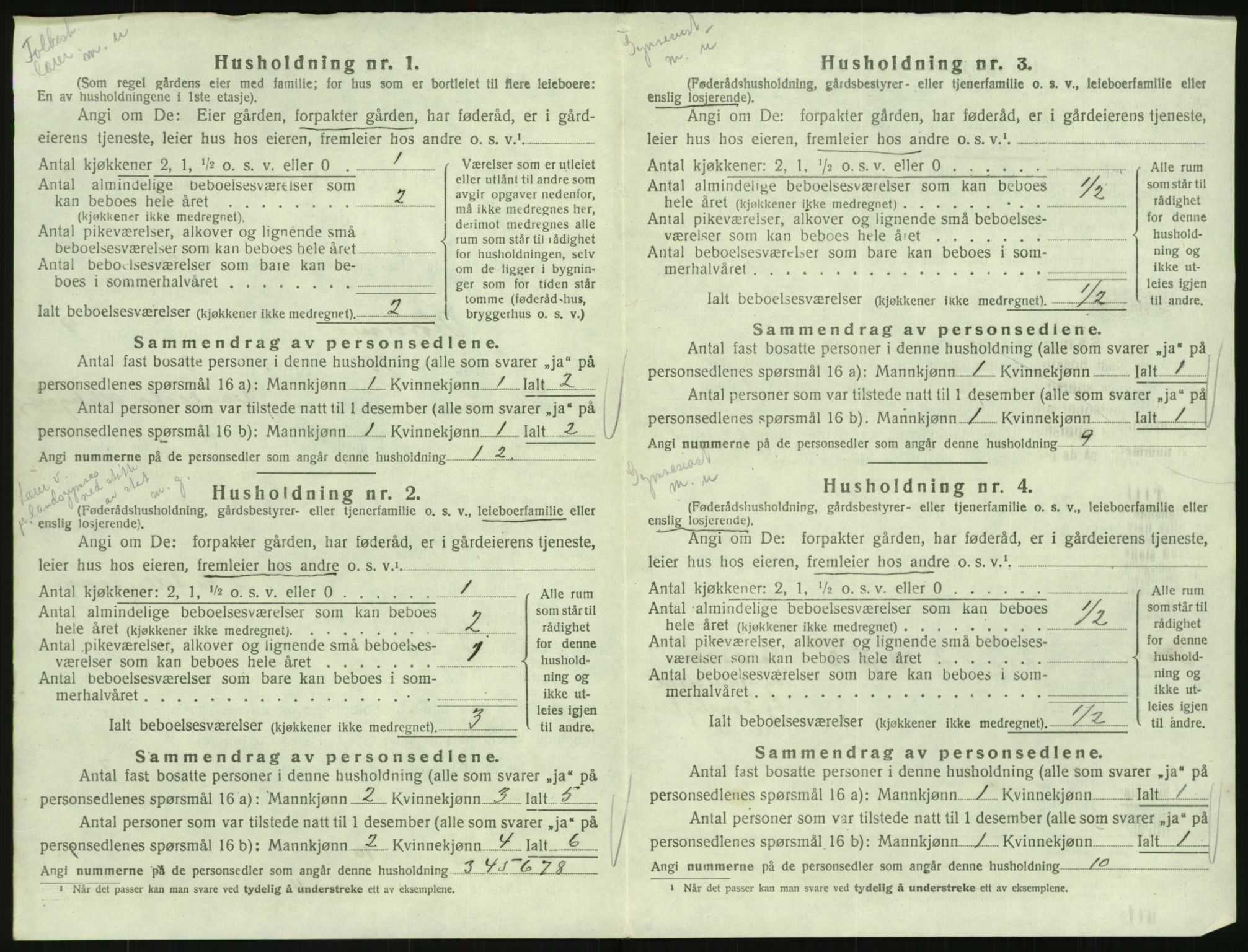 SAK, Folketelling 1920 for 0936 Hornnes herred, 1920, s. 390