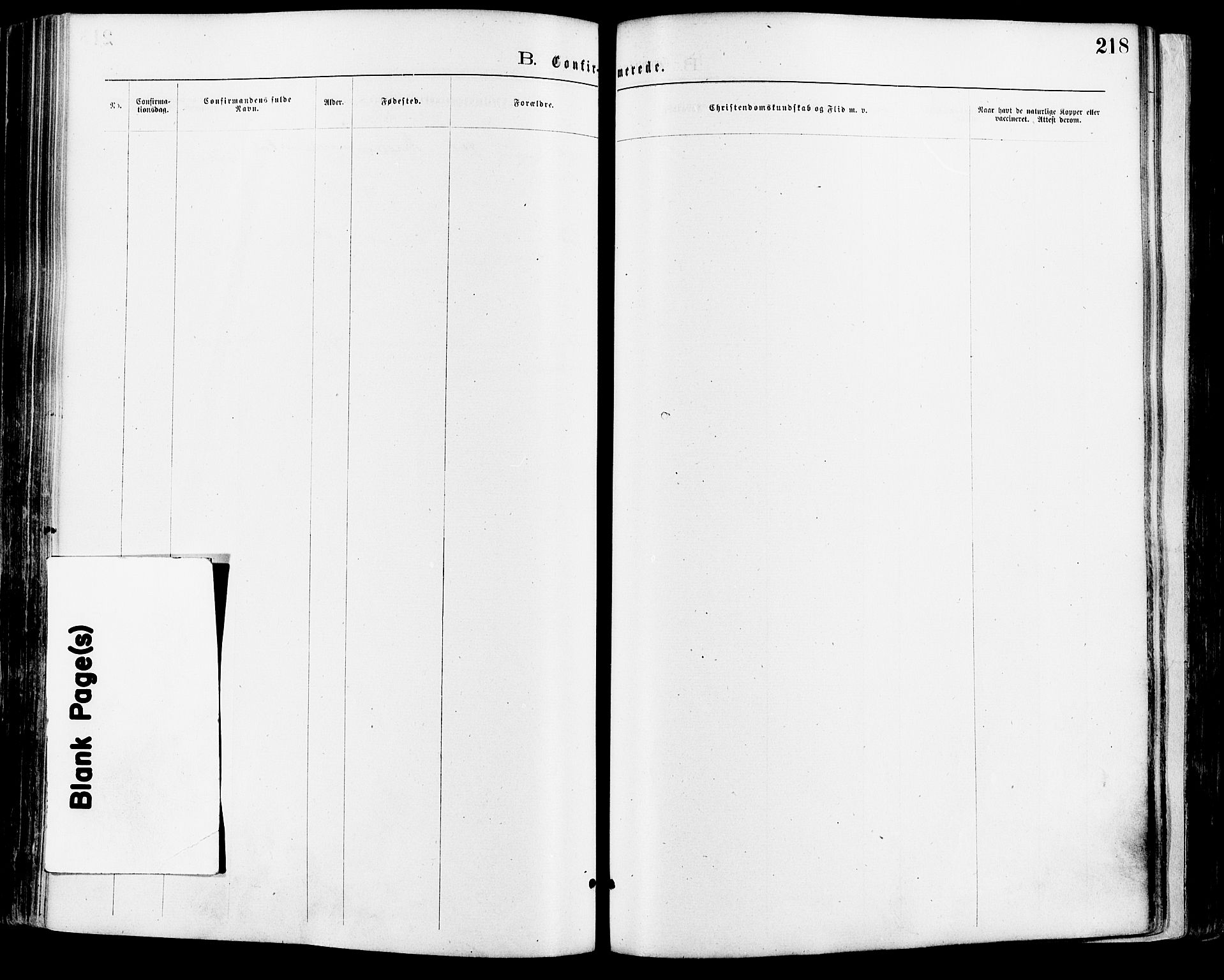 Nord-Odal prestekontor, SAH/PREST-032/H/Ha/Haa/L0005: Ministerialbok nr. 5, 1874-1885, s. 218