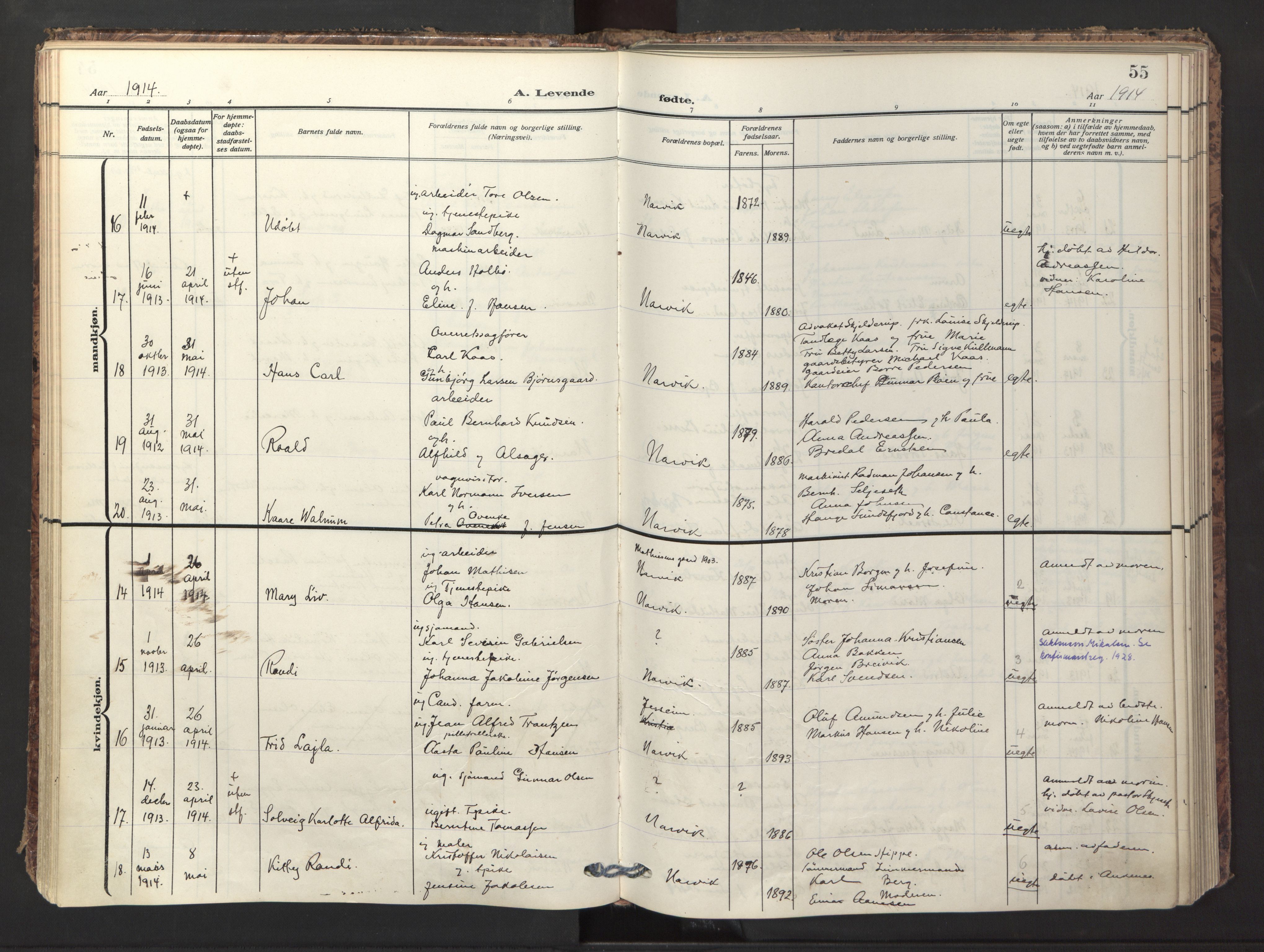 Ministerialprotokoller, klokkerbøker og fødselsregistre - Nordland, AV/SAT-A-1459/871/L1001: Ministerialbok nr. 871A17, 1911-1921, s. 55