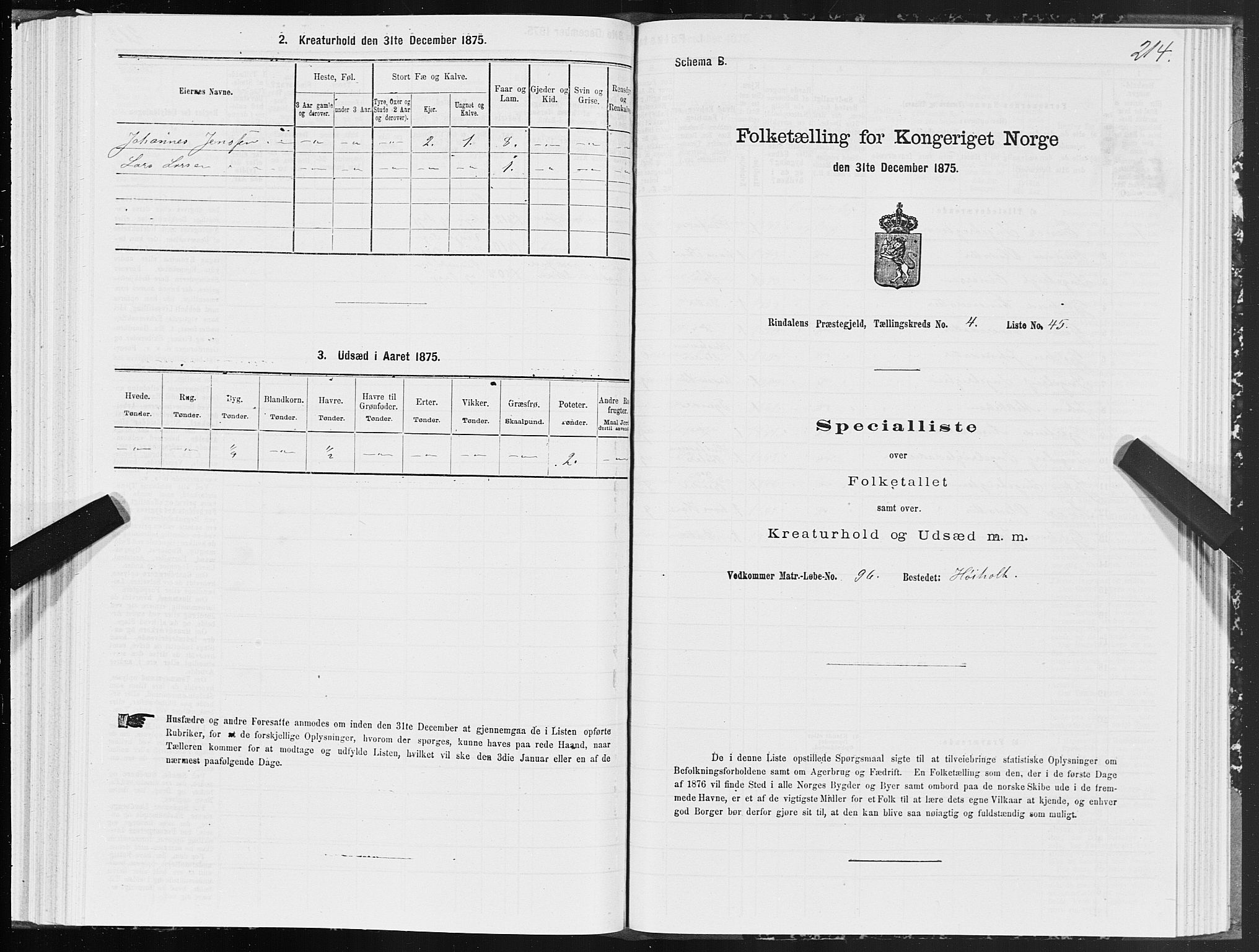 SAT, Folketelling 1875 for 1567P Rindal prestegjeld, 1875, s. 2214