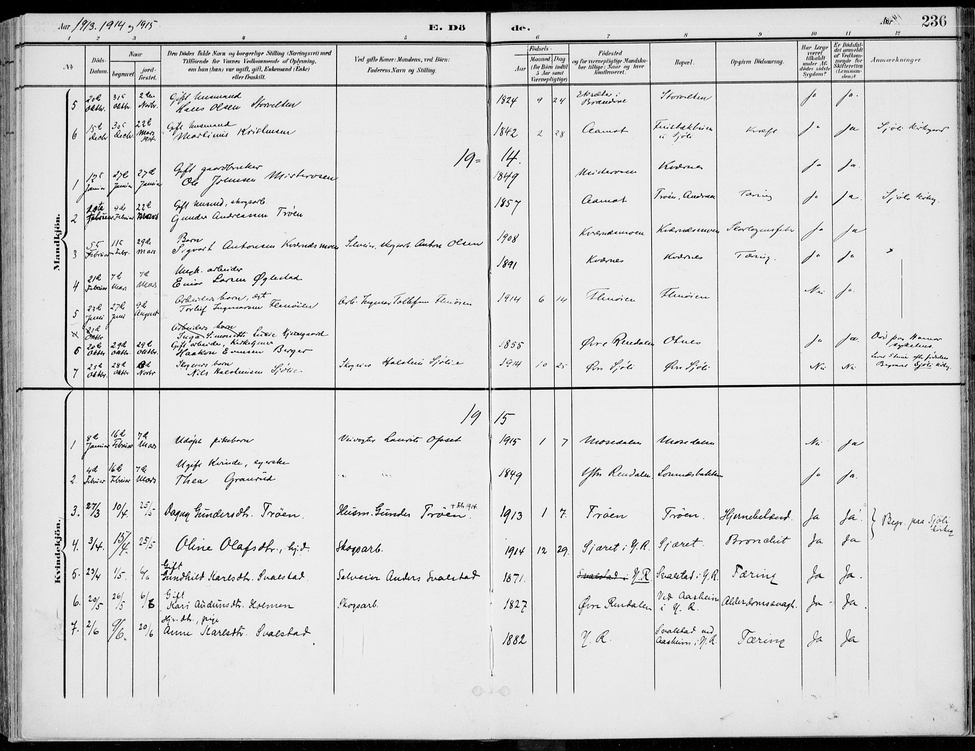 Rendalen prestekontor, SAH/PREST-054/H/Ha/Haa/L0011: Ministerialbok nr. 11, 1901-1925, s. 236