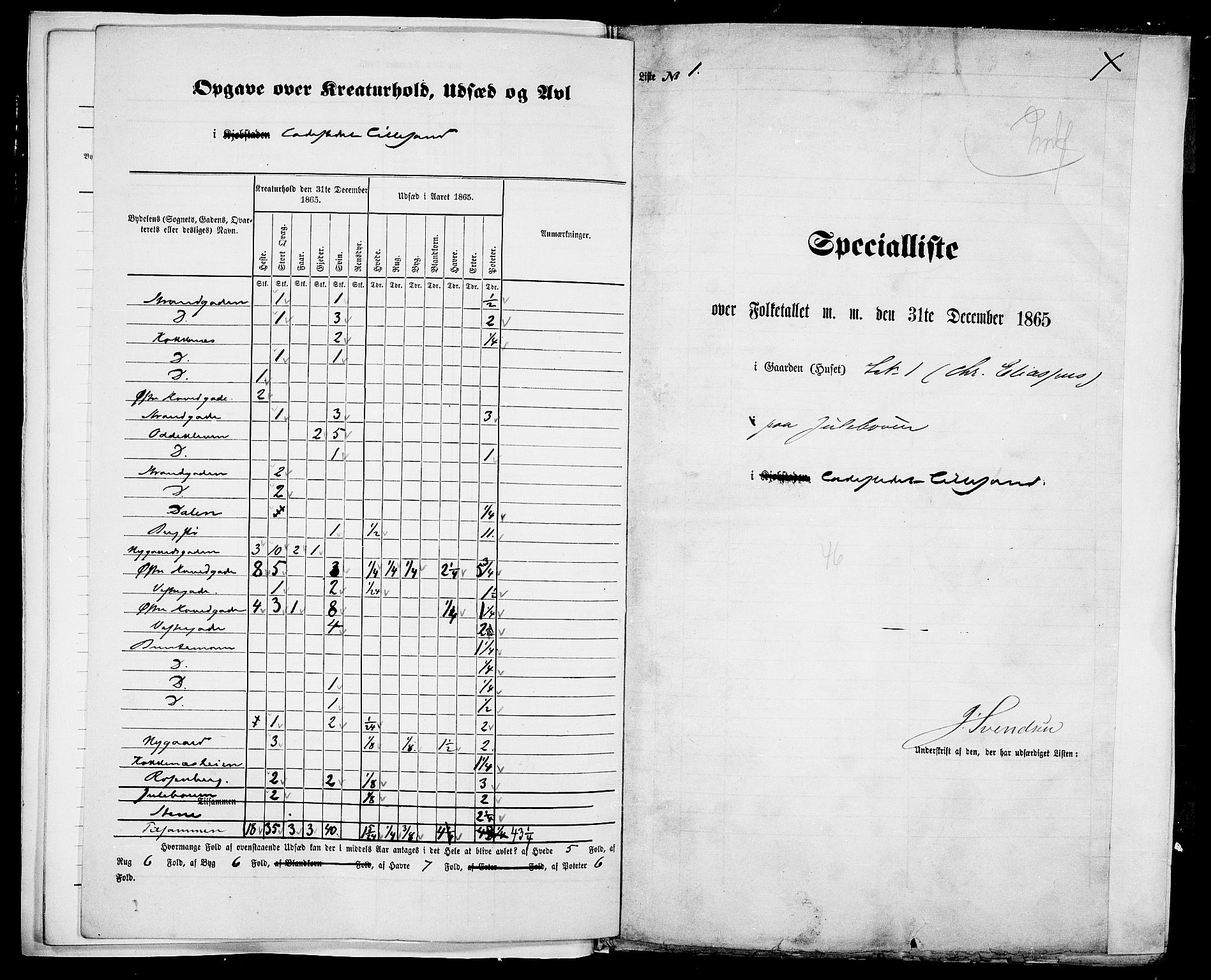 RA, Folketelling 1865 for 0905B Vestre Moland prestegjeld, Lillesand ladested, 1865, s. 8