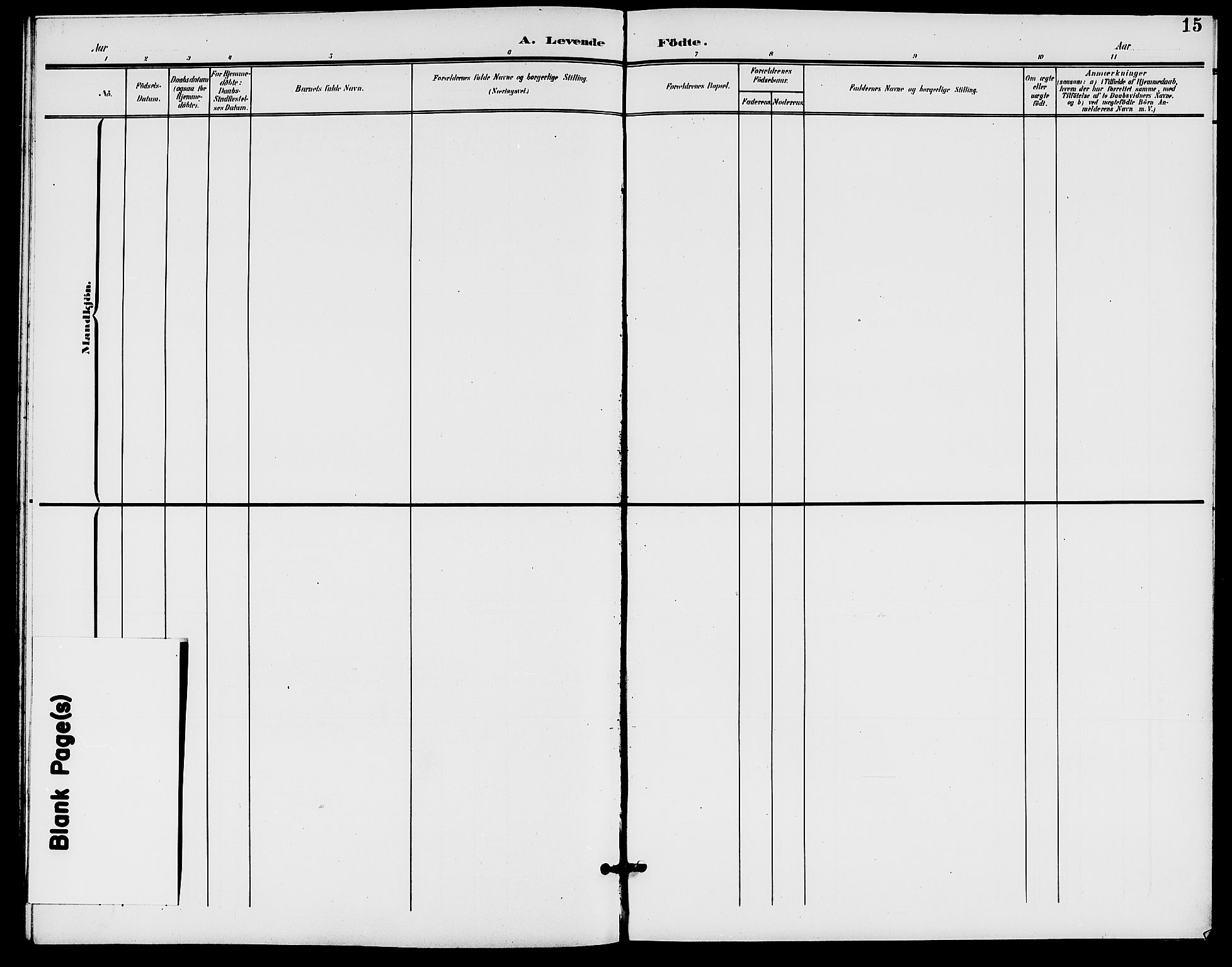 Rødenes prestekontor Kirkebøker, SAO/A-2005/G/Gb/L0001: Klokkerbok nr. II 1, 1901-1910, s. 15