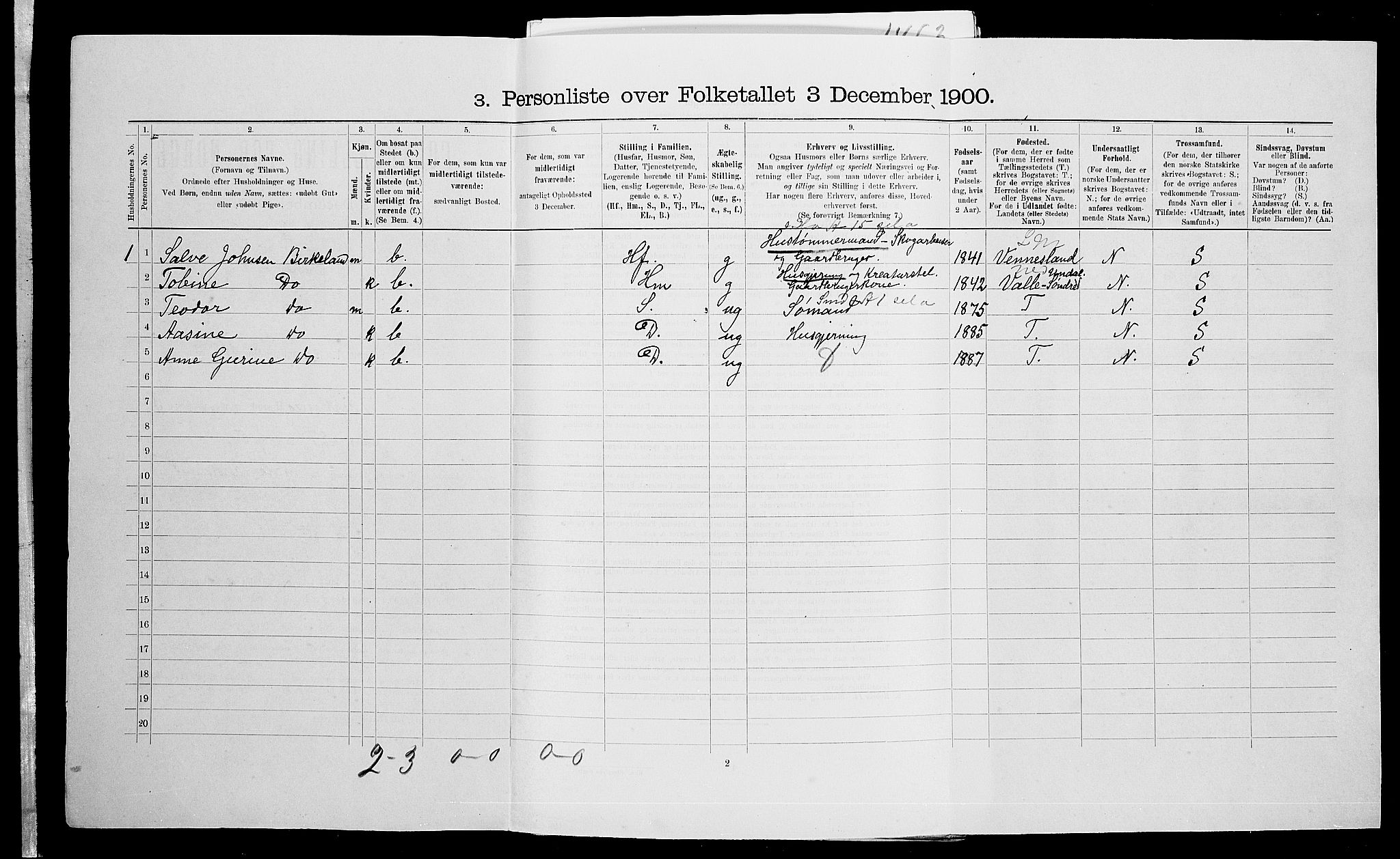 SAK, Folketelling 1900 for 0928 Birkenes herred, 1900, s. 311