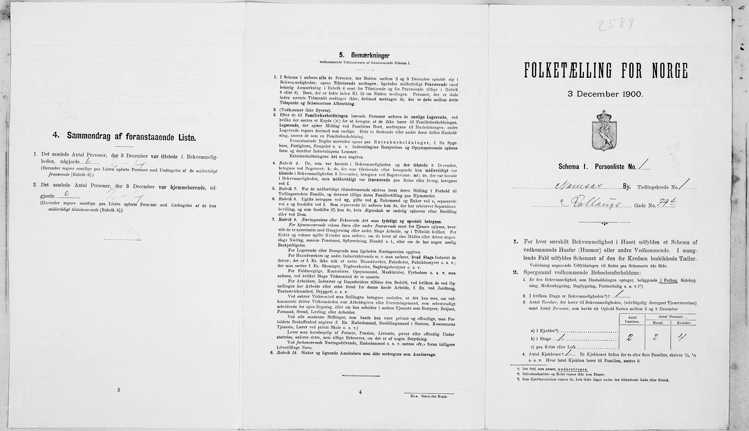 SAT, Folketelling 1900 for 1703 Namsos ladested, 1900, s. 262