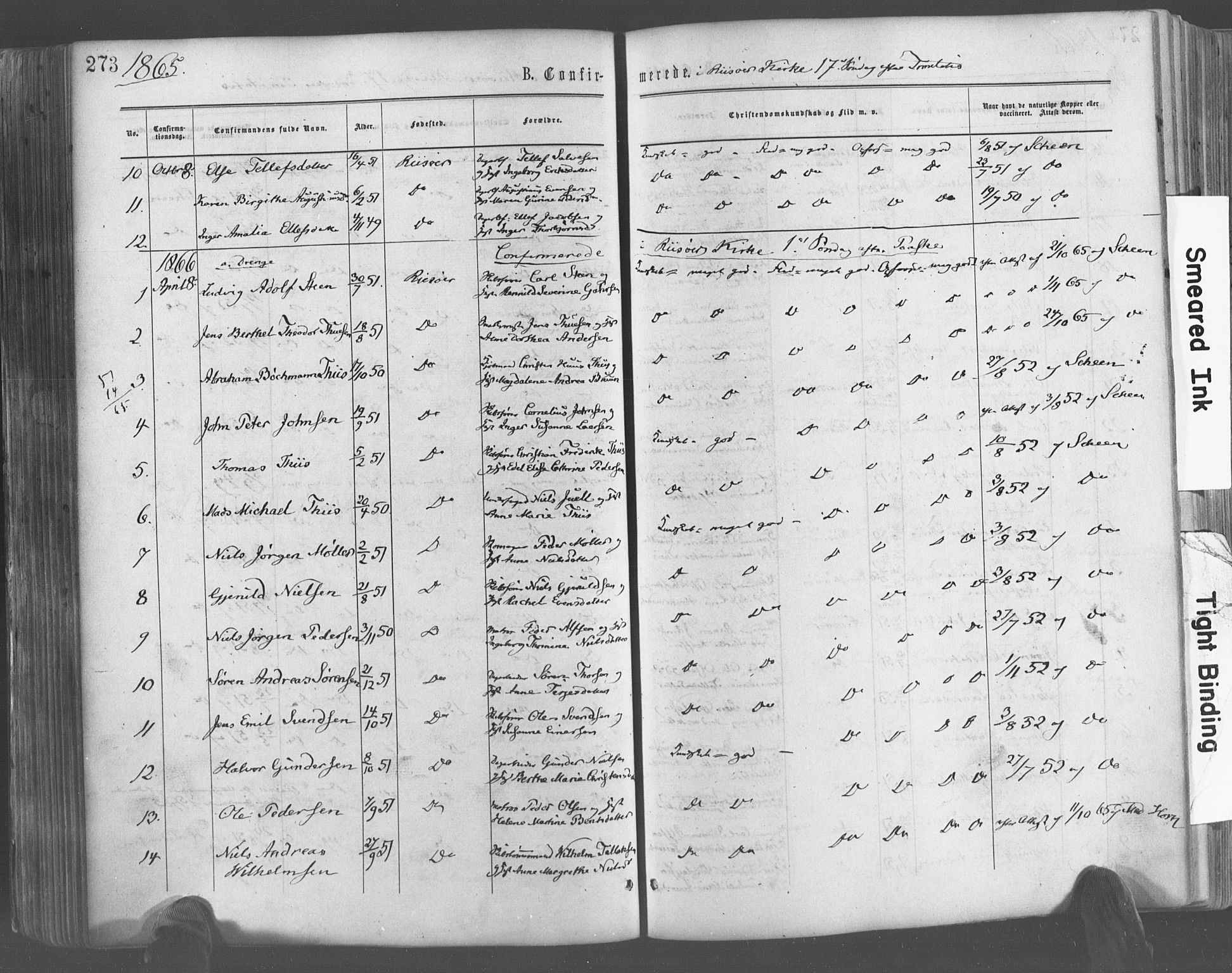 Risør sokneprestkontor, AV/SAK-1111-0035/F/Fa/L0004: Ministerialbok nr. A 4, 1865-1882, s. 273