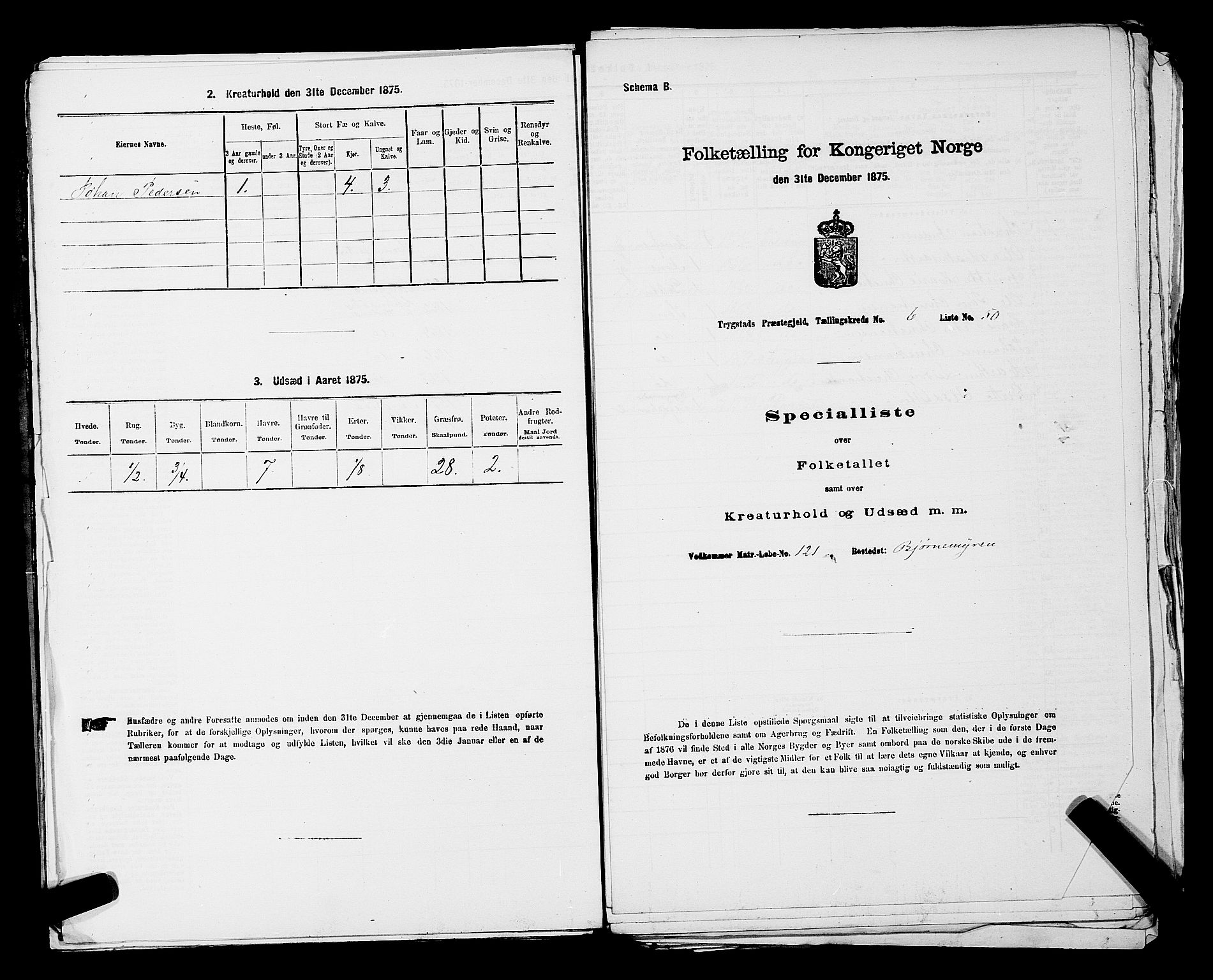 RA, Folketelling 1875 for 0122P Trøgstad prestegjeld, 1875, s. 724