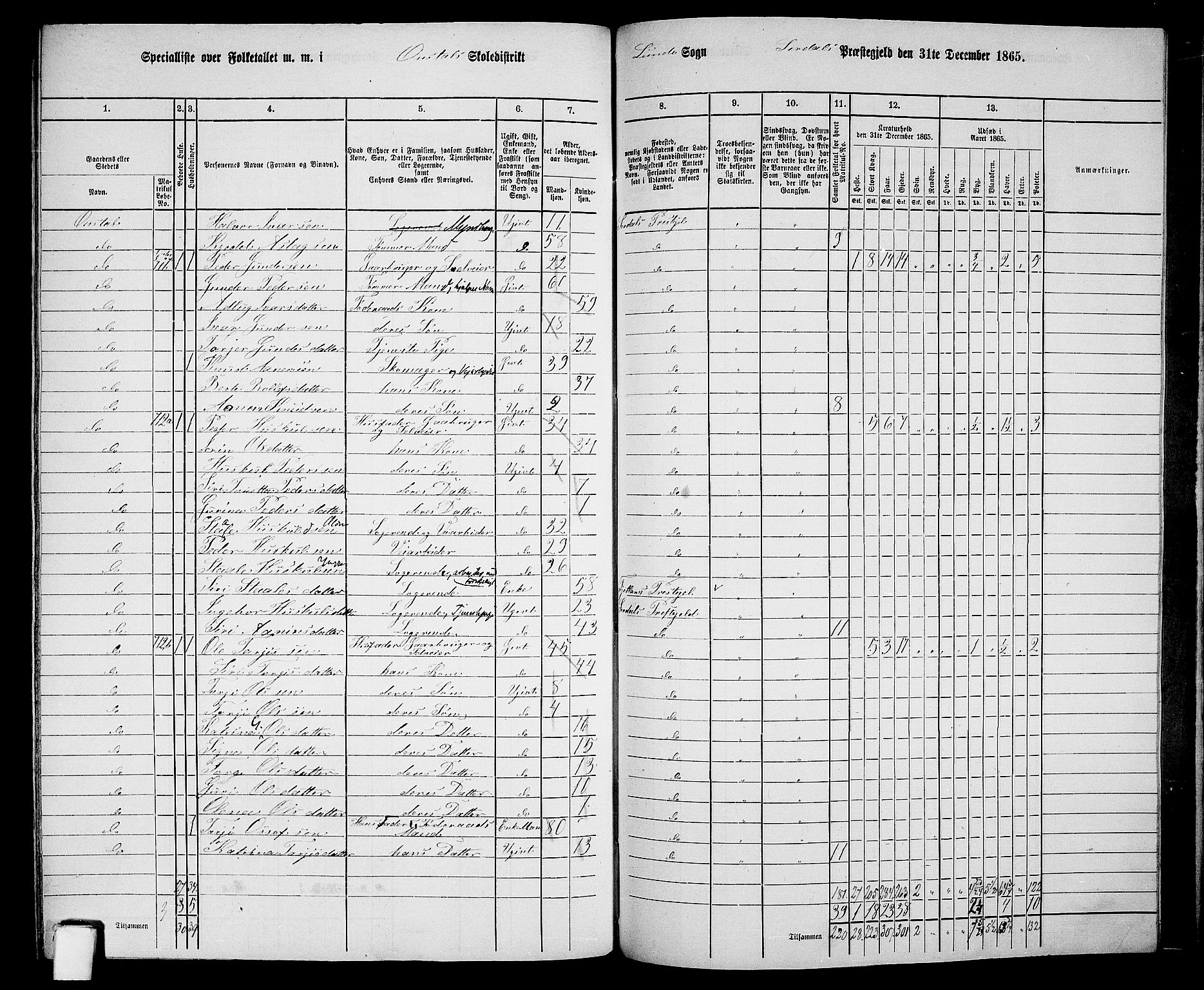 RA, Folketelling 1865 for 1046P Sirdal prestegjeld, 1865, s. 71