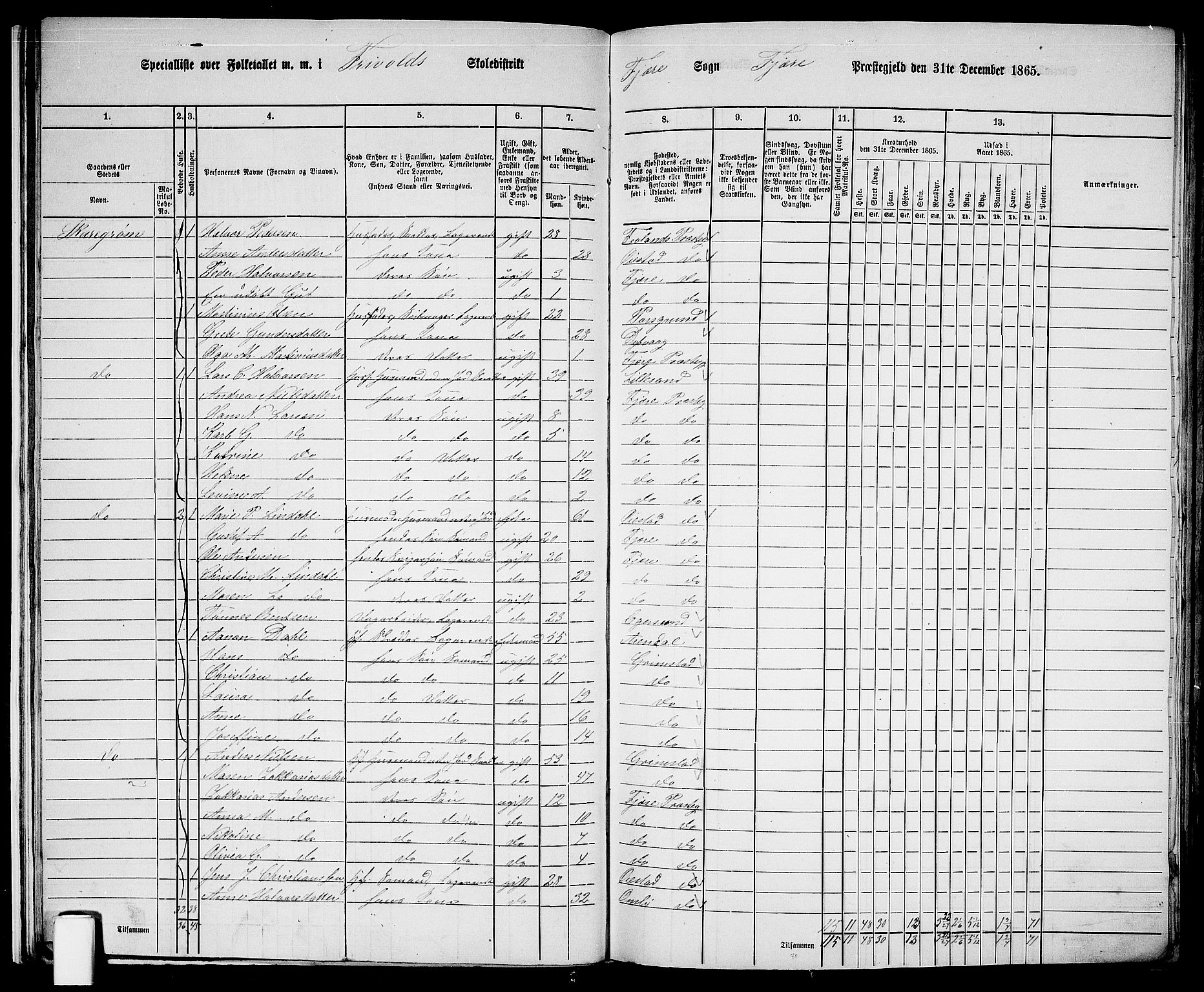 RA, Folketelling 1865 for 0923L Fjære prestegjeld, Fjære sokn, 1865, s. 20