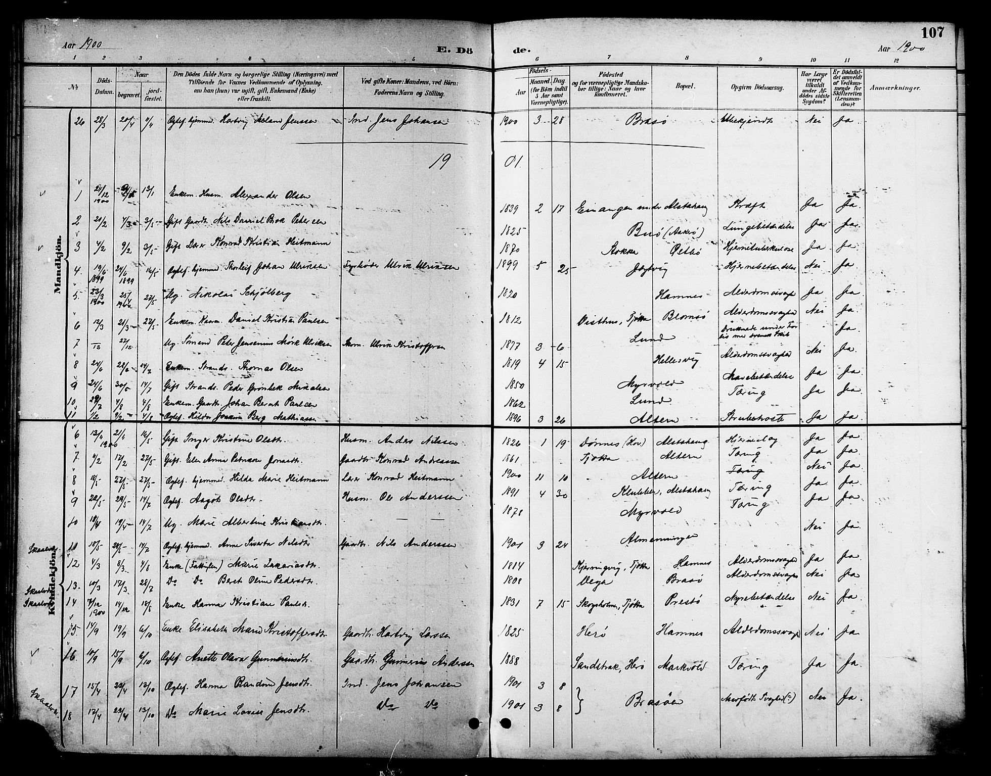 Ministerialprotokoller, klokkerbøker og fødselsregistre - Nordland, SAT/A-1459/830/L0463: Klokkerbok nr. 830C05, 1895-1906, s. 107